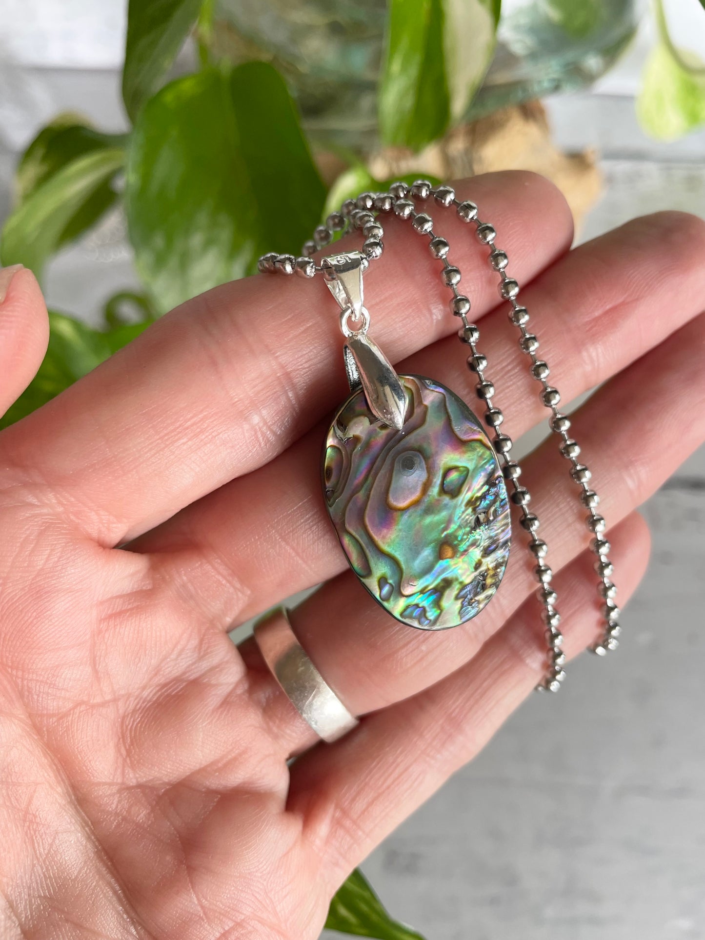 Sweetgrass Studio ~ Abalone Shell