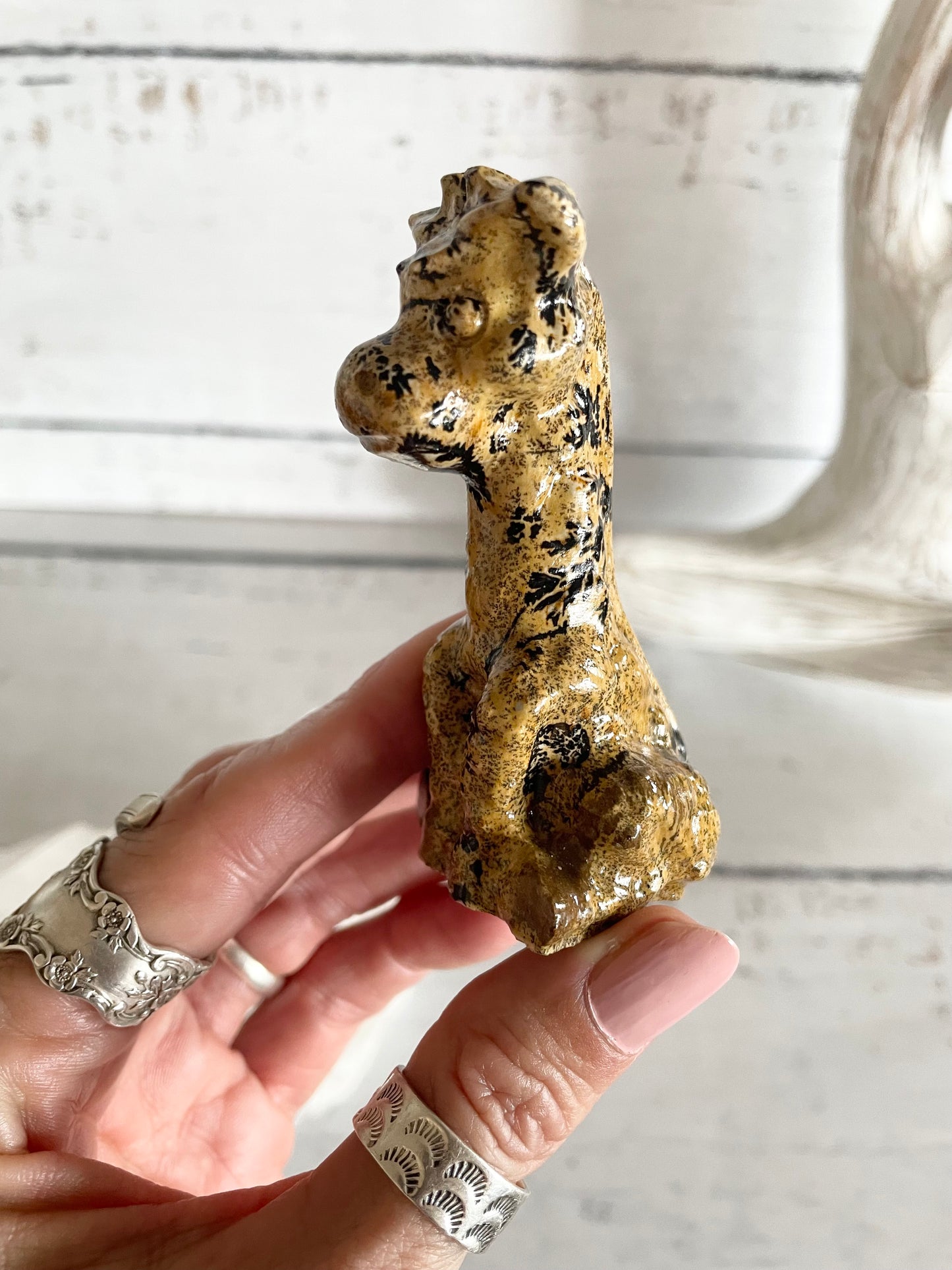 Picture Jasper Giraffe ~ 3