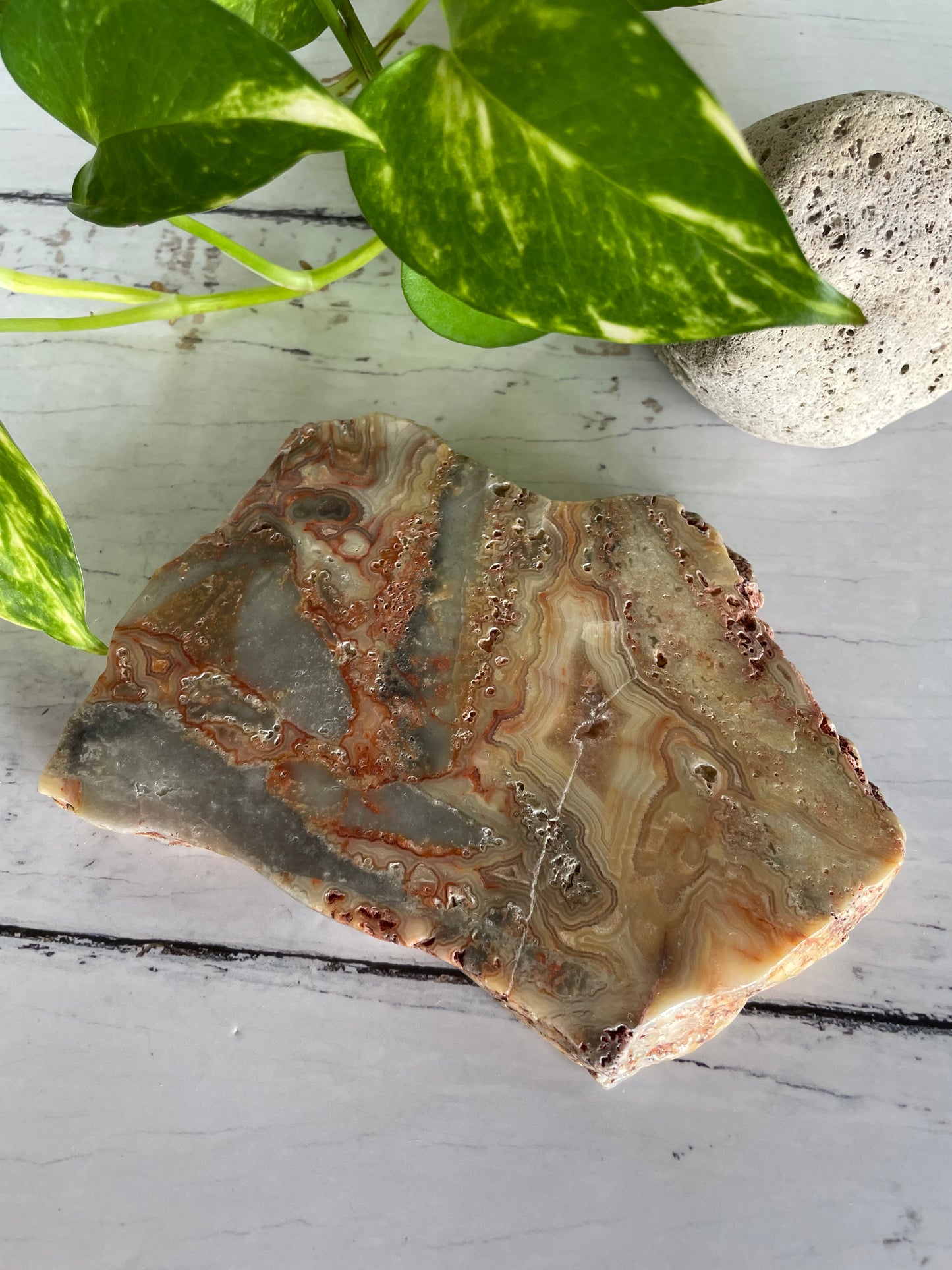 Crazy Lace Agate Polished Slab