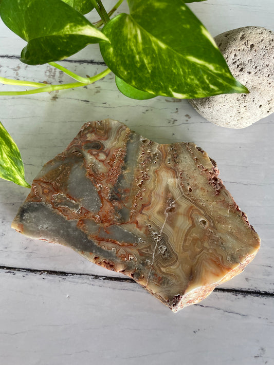 Crazy Lace Agate Polished Slab