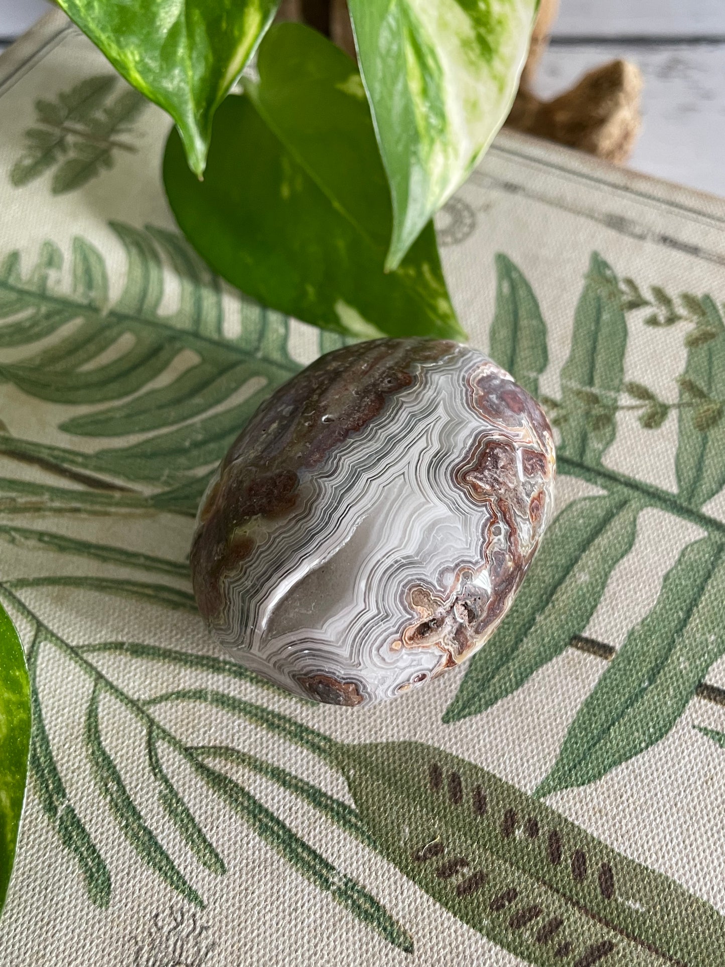 Mexican Sardonyx Pillow Palm Stone