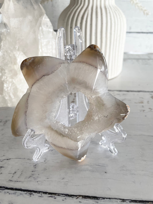 Natural Agate ~ Sea Star