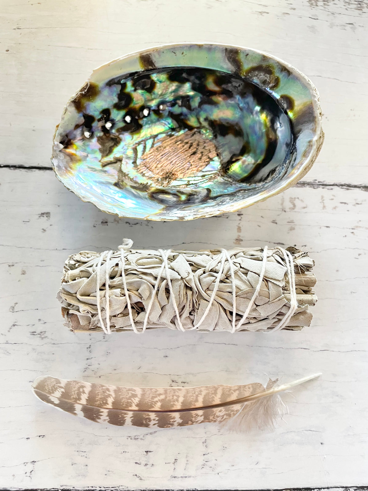 Abalone Shell Sacred White Sage Smudge kit ~ Set of 3