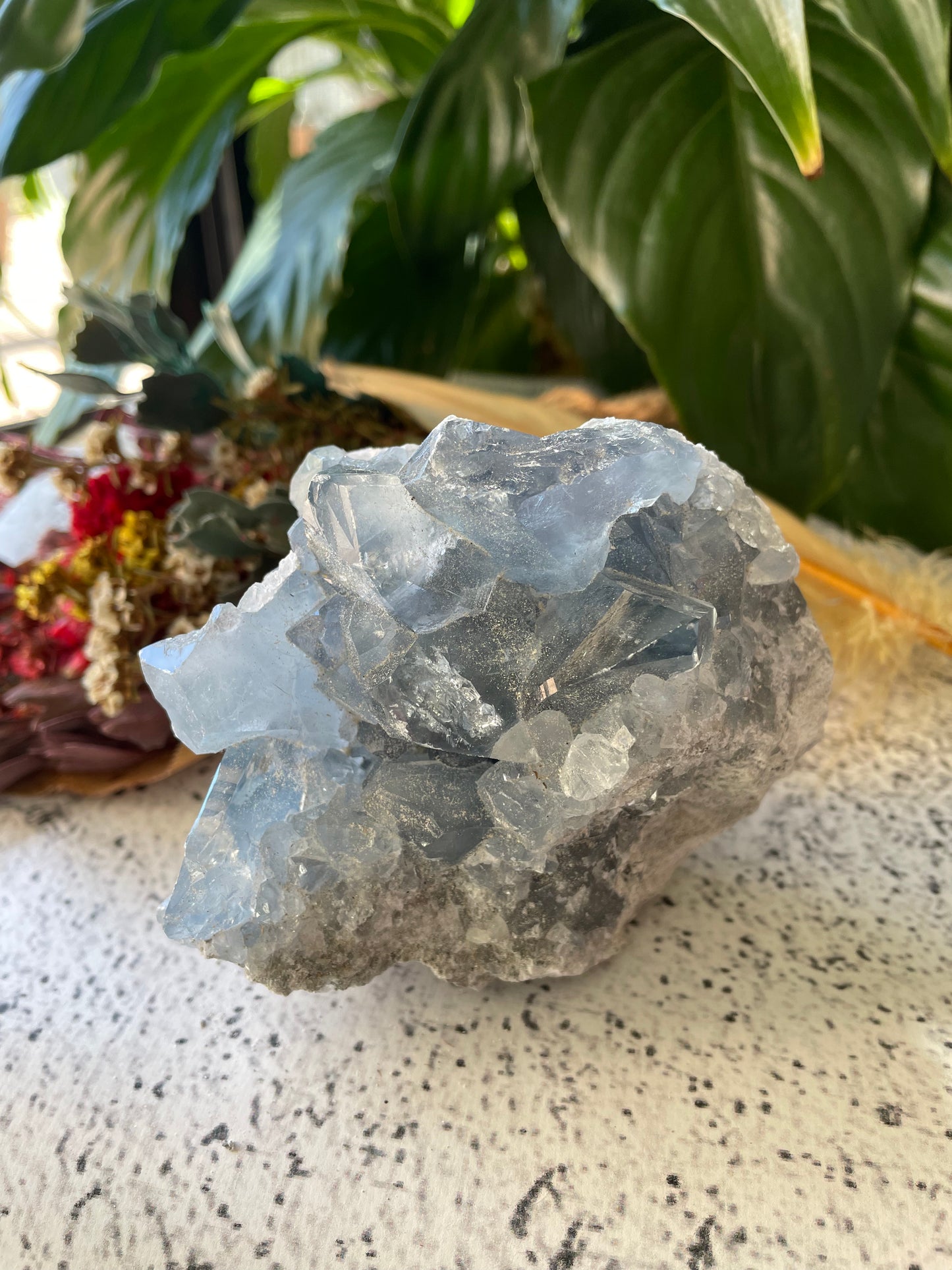 Celestite Cluster