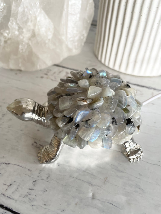 Tortoise Led Lamp ~ Labradorite