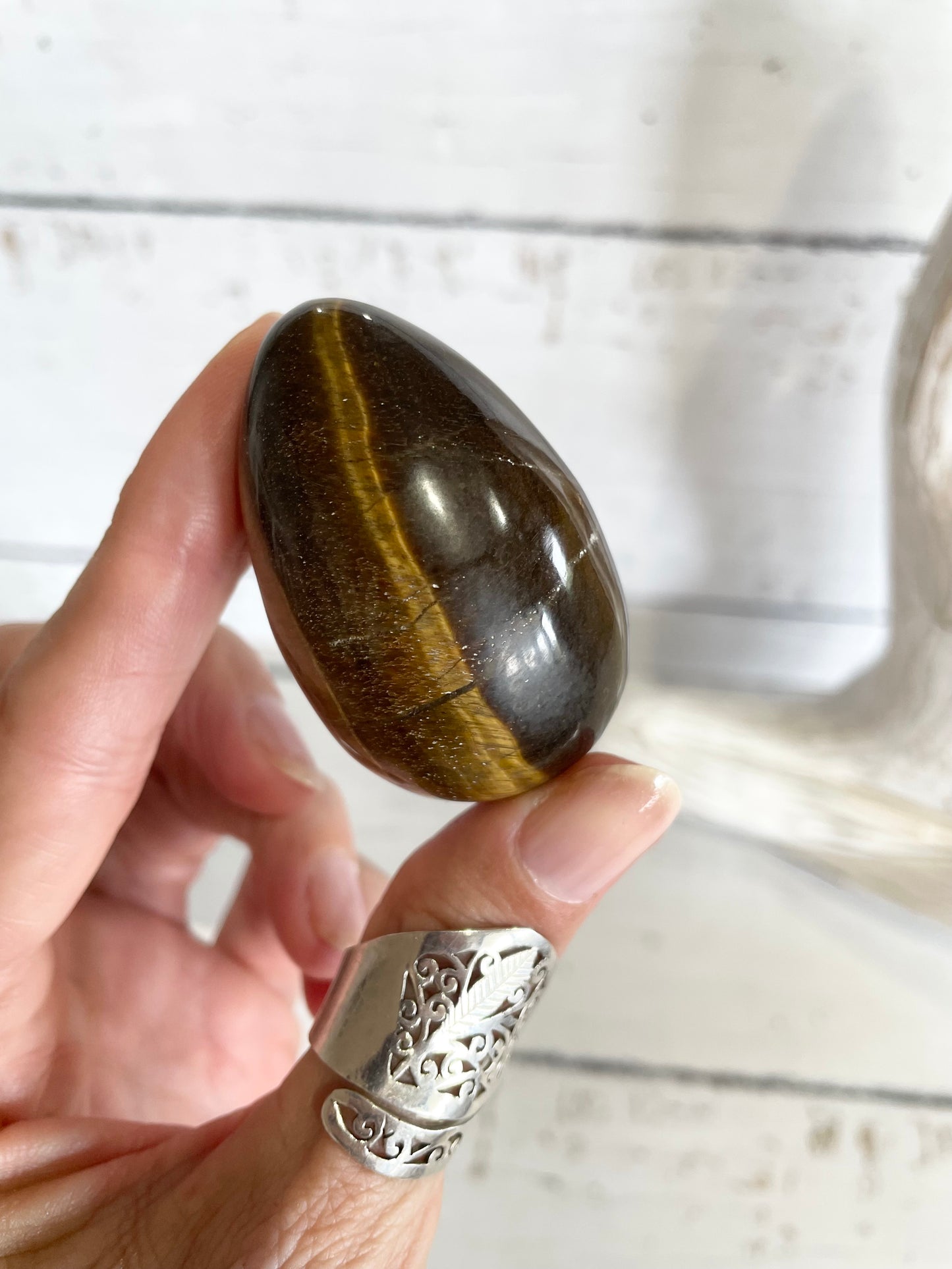 Tigers Eye Egg with holder