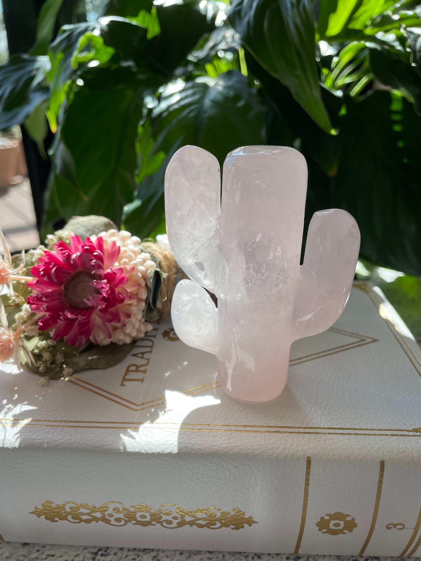 Rose Quartz Cactus