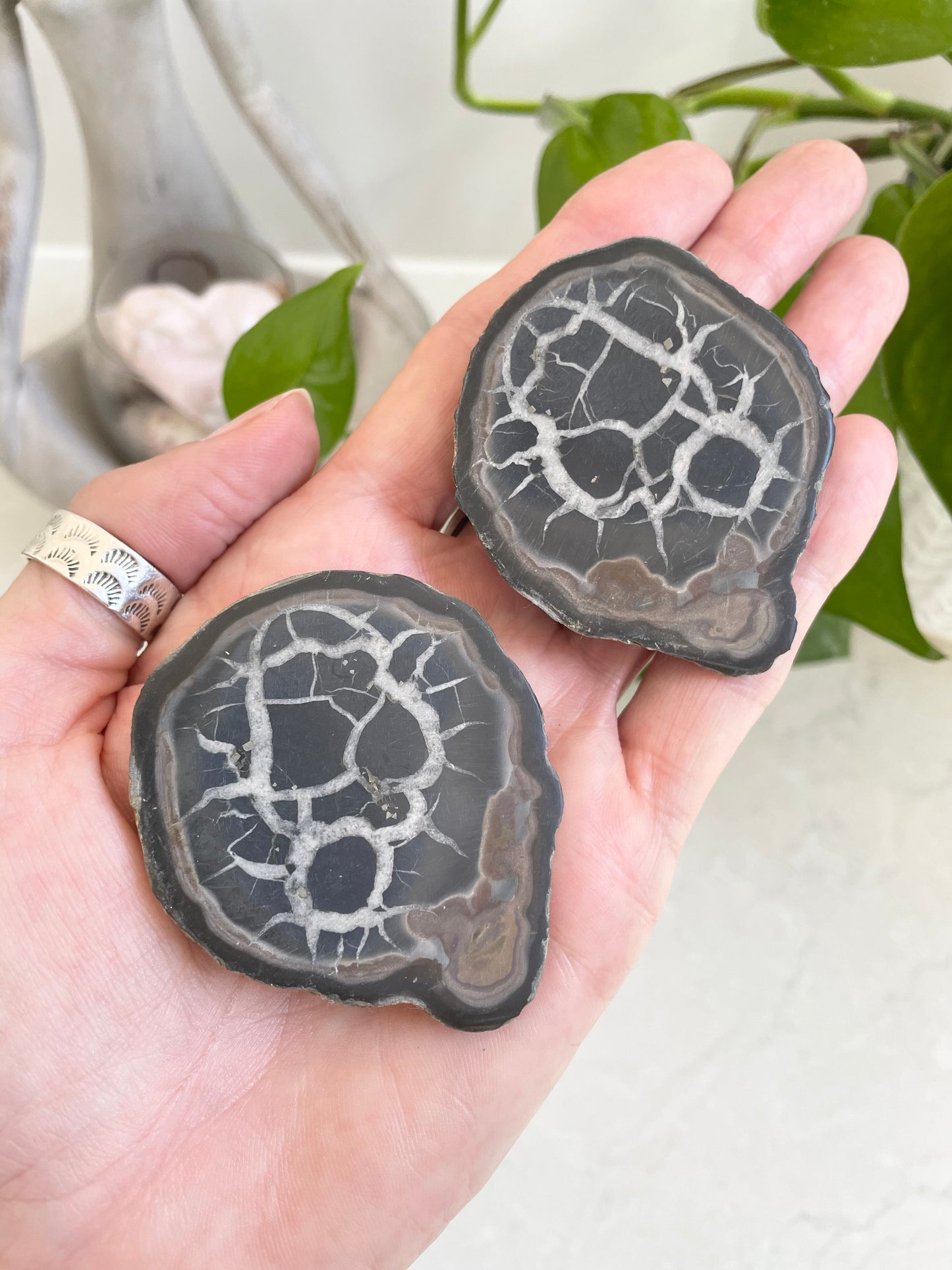 Septarian Twins Pair