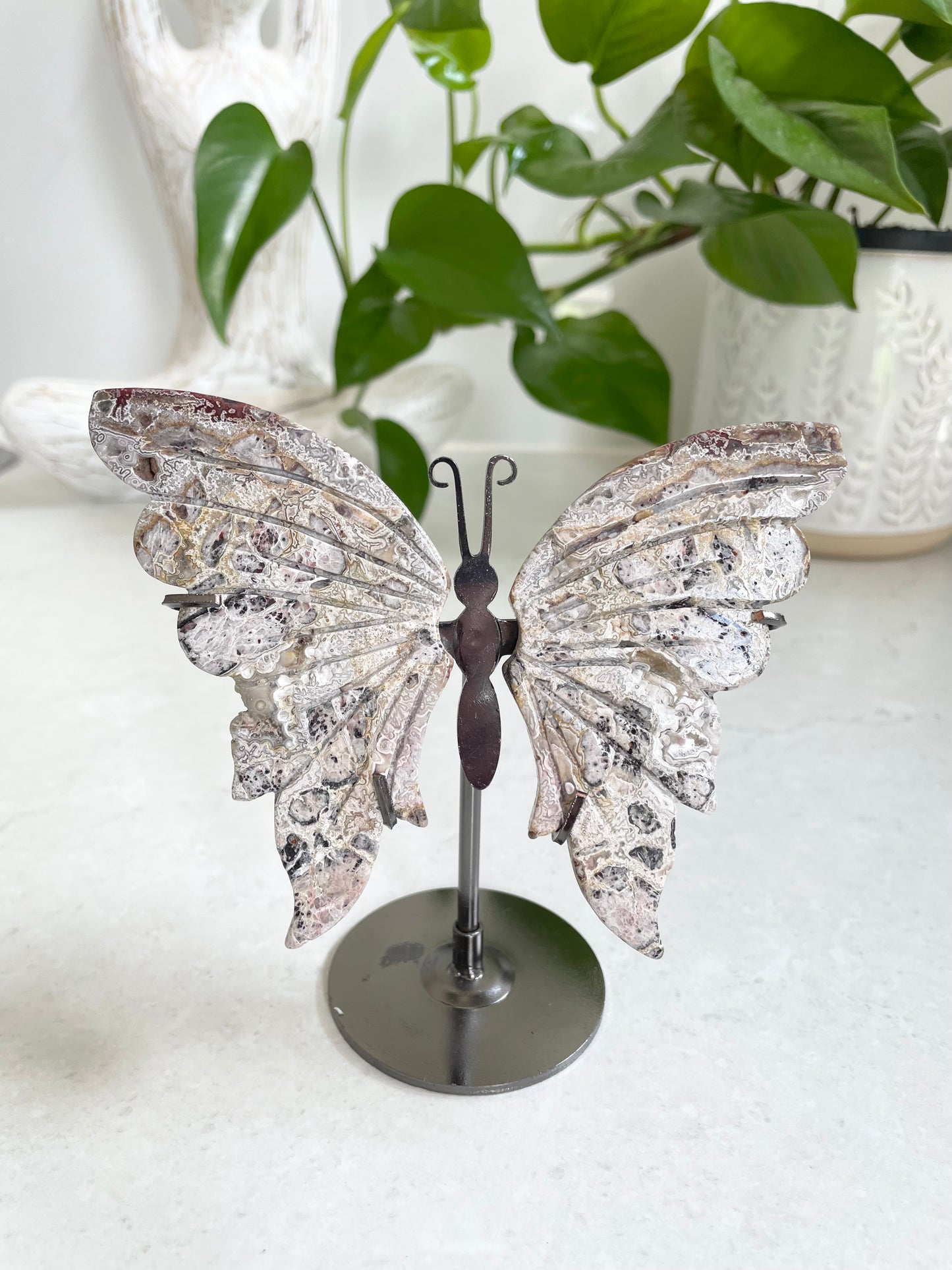 Butterfly ~ Mexican crazy lace agate