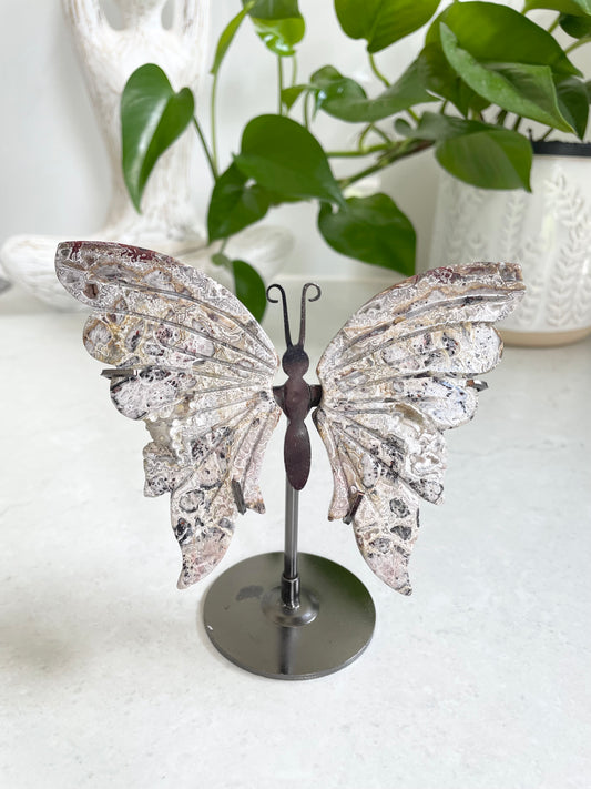 Butterfly ~ Mexican crazy lace agate