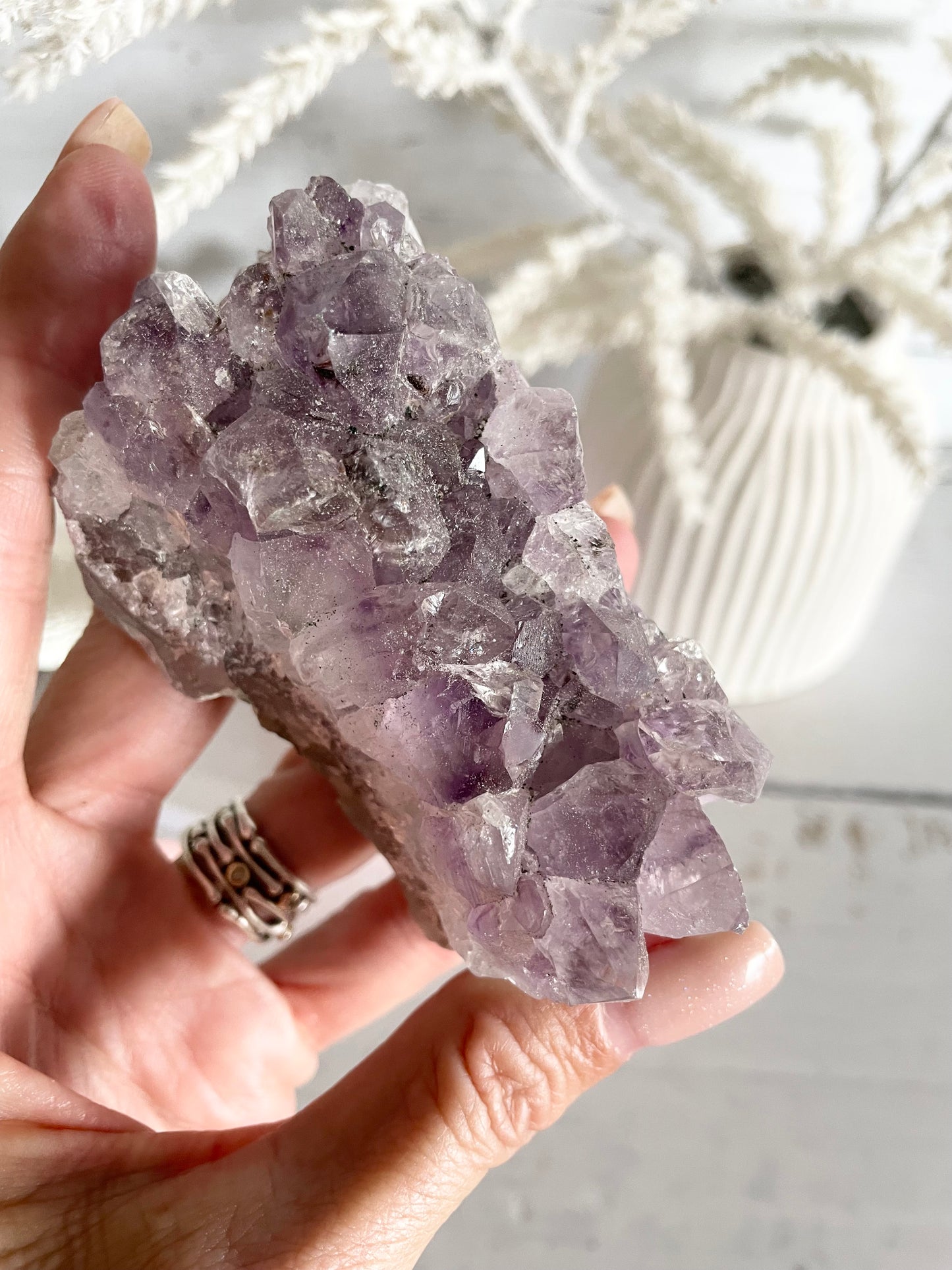 Amethyst Cluster