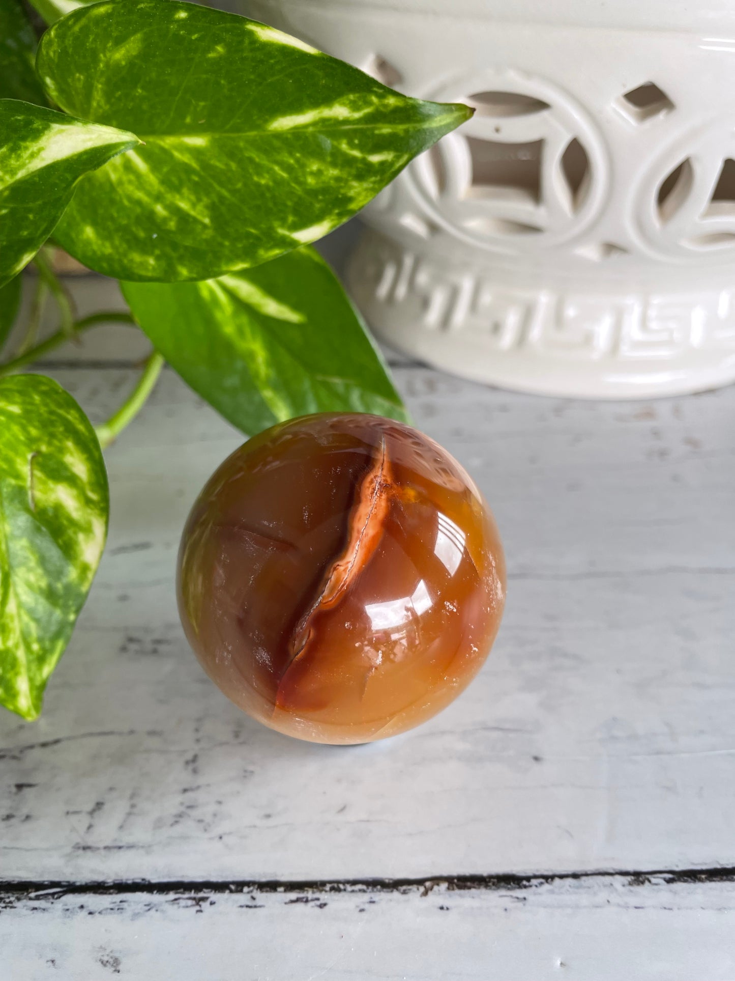 Carnelian Sphere Includes Wooden Holder