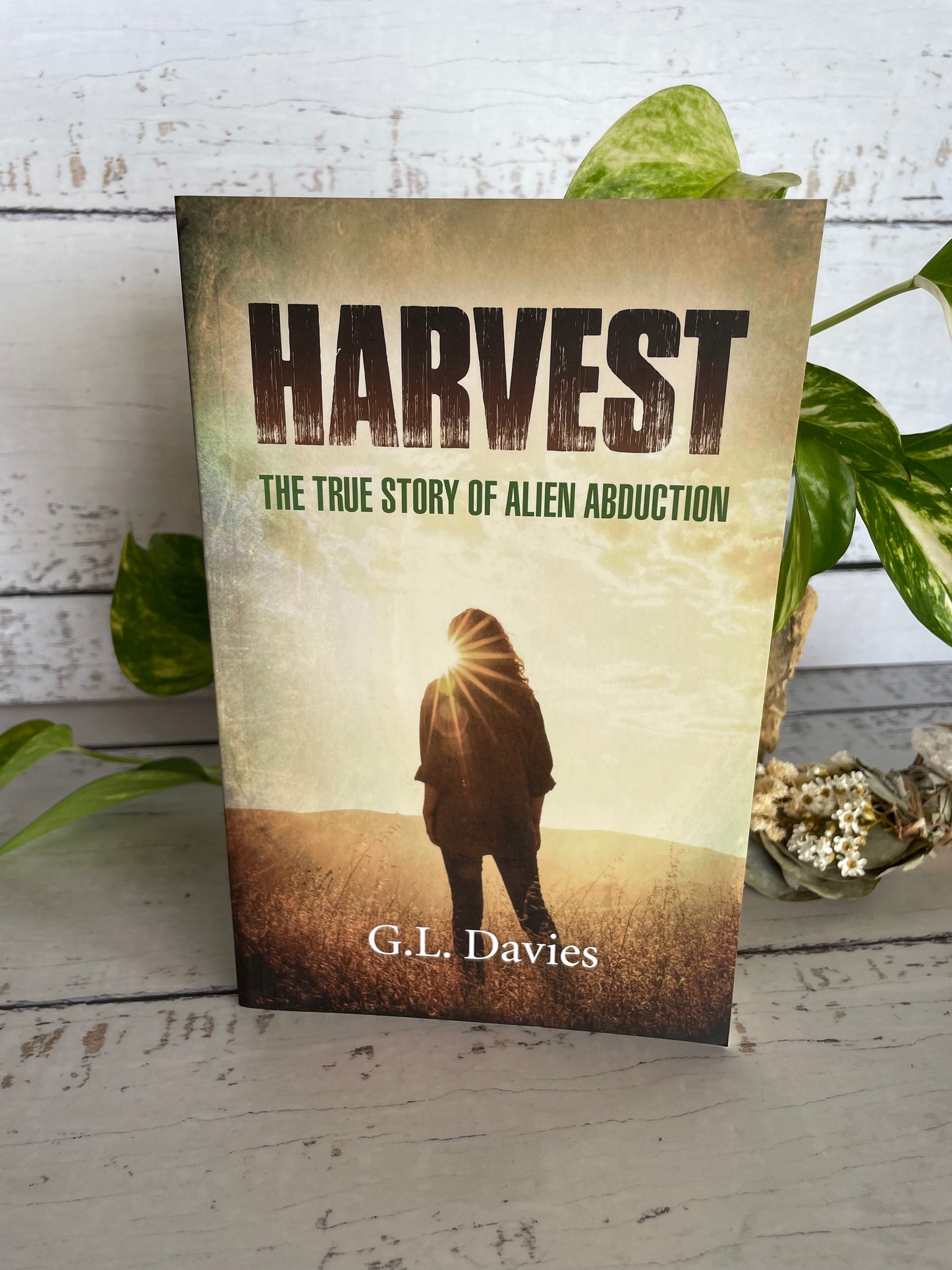 Harvest ~ The True Story of Alien Abduction