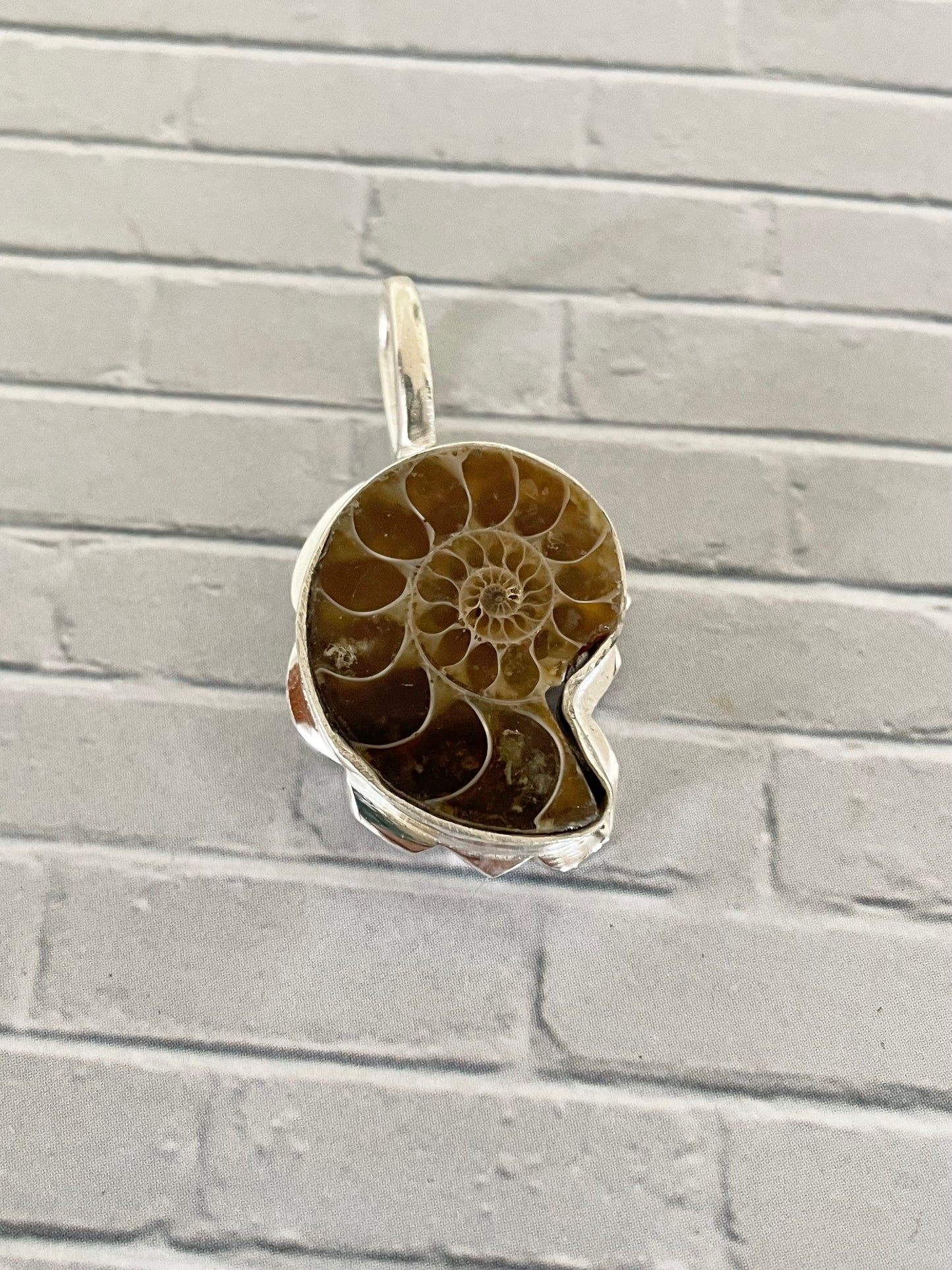 Ammonite Pendant