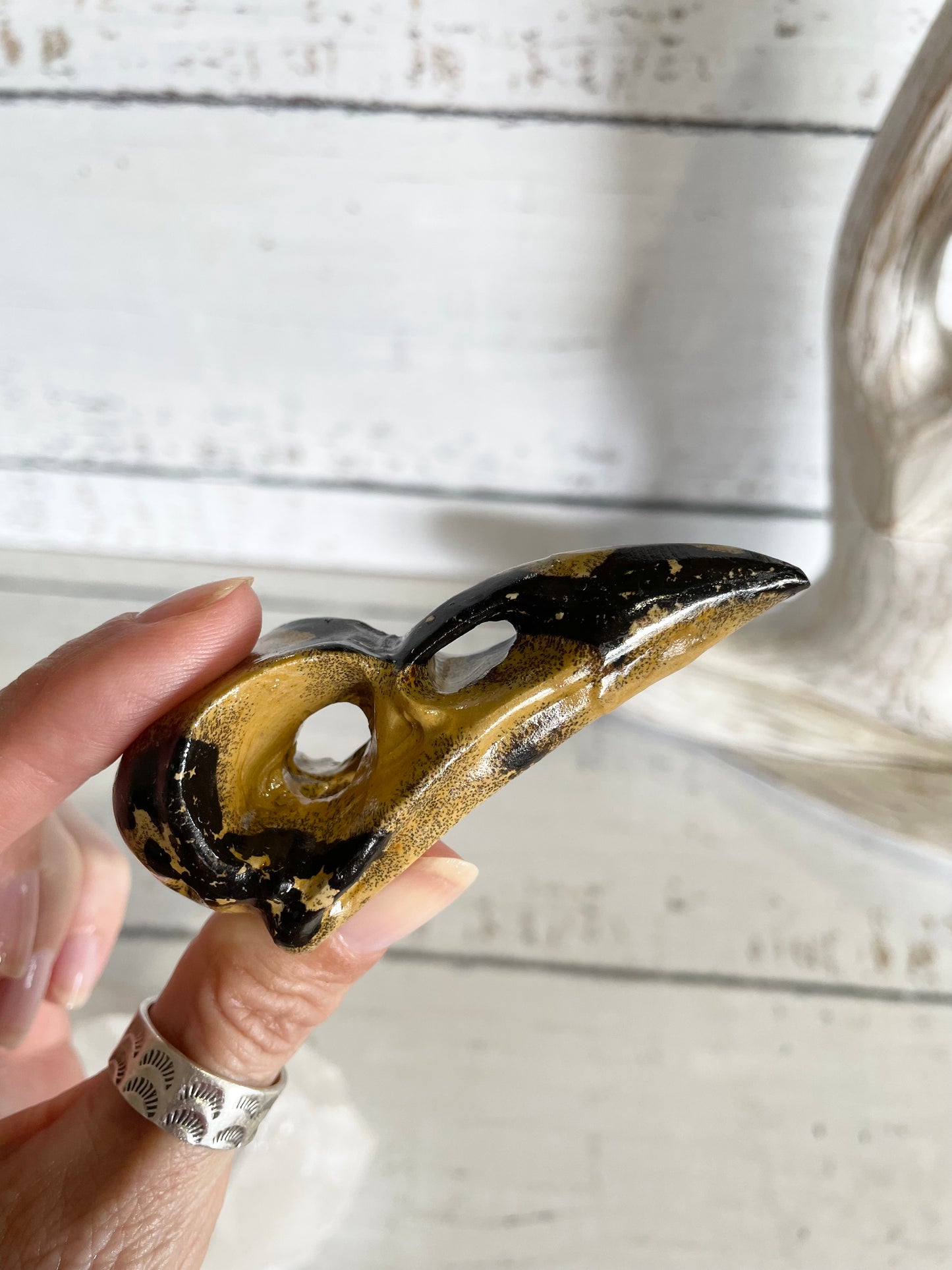 Picture Jasper Raven Skull ~ 4