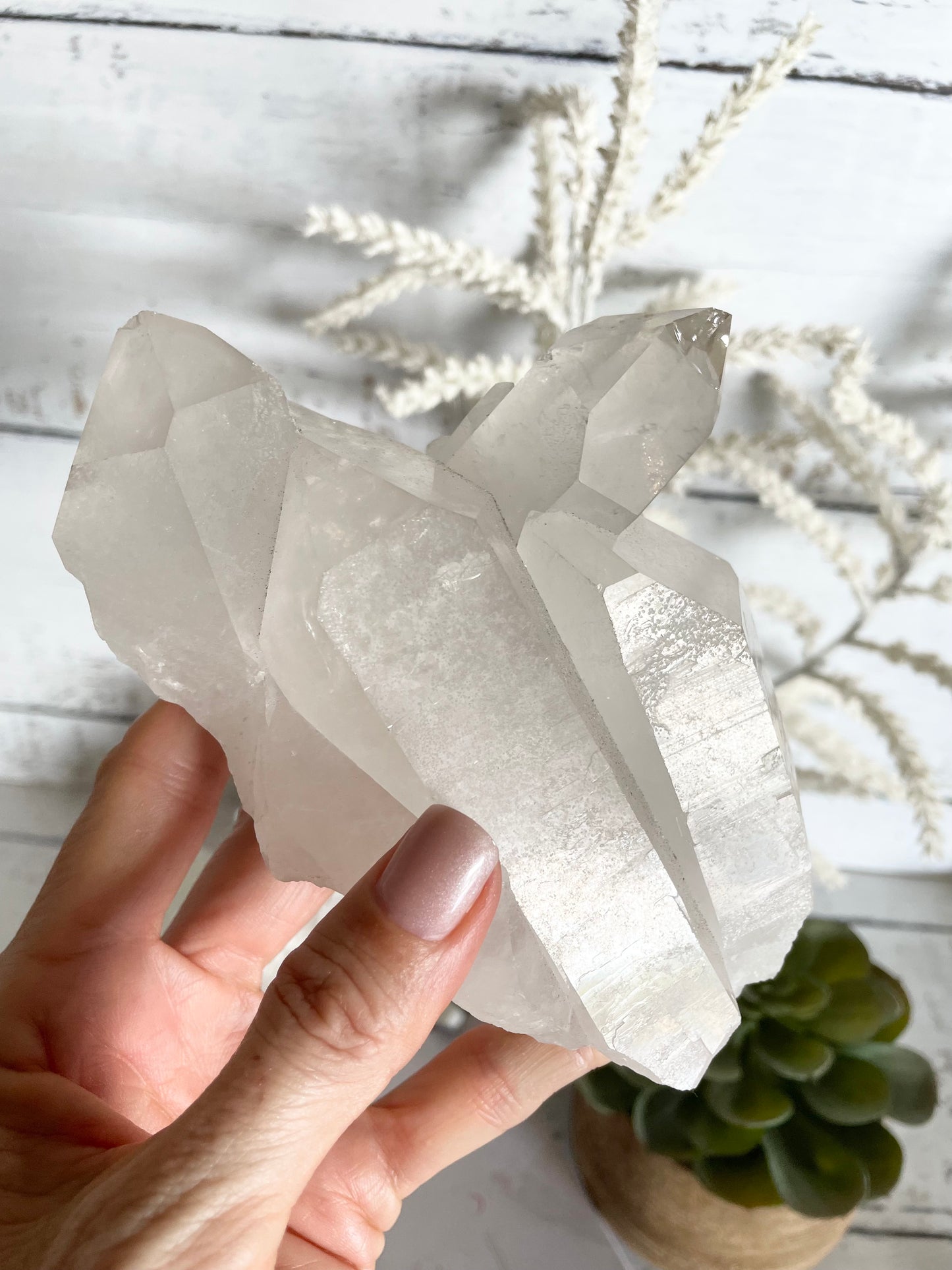 Clear Quartz Cluster