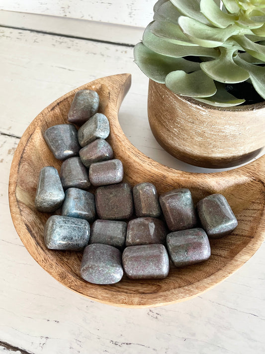 Ruby Kyanite Tumble Stones