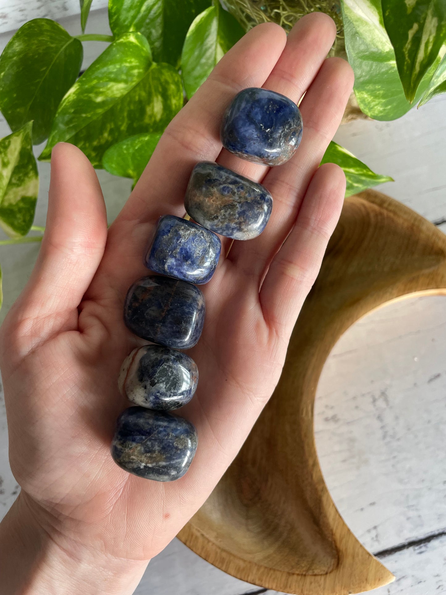 Sodalite Tumble Stones