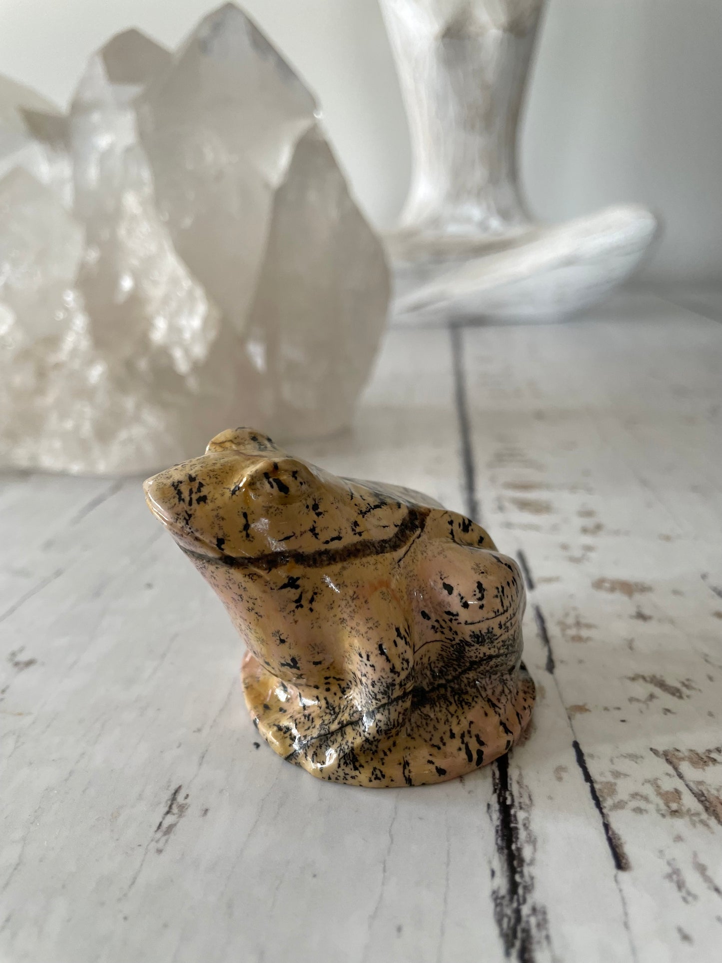 Picture Jasper Frog