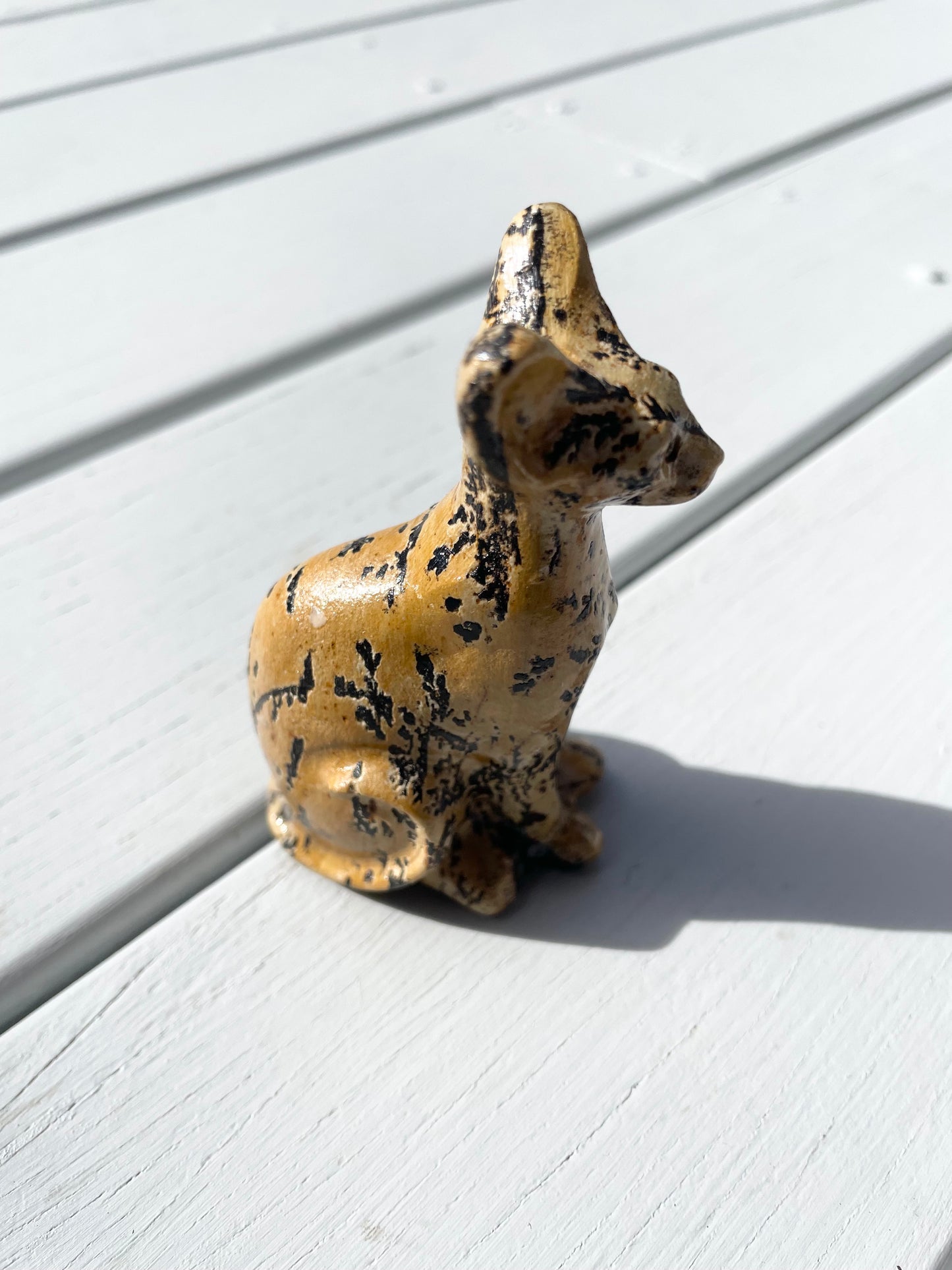 Picture Jasper Cat