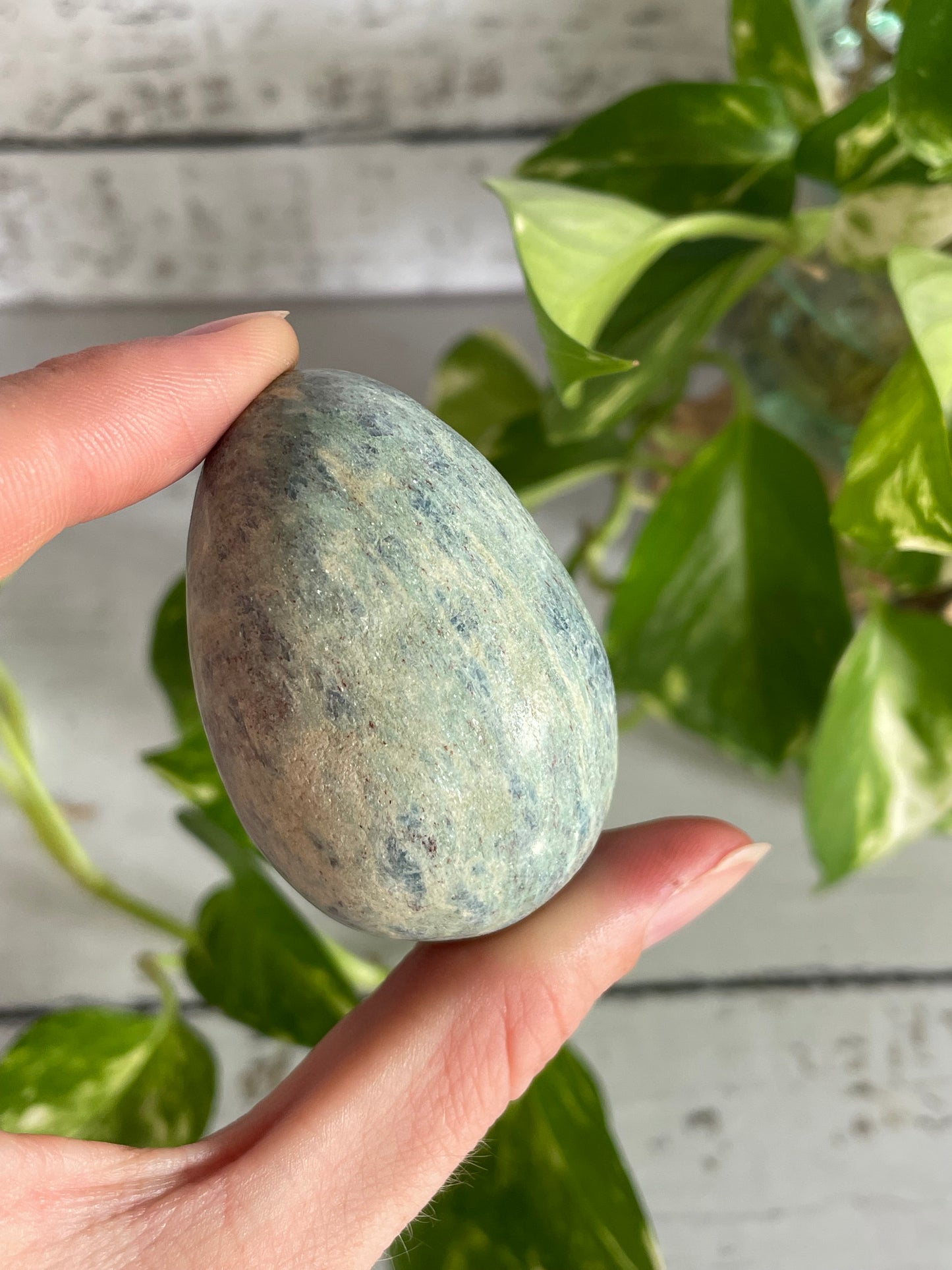 Fuchsite & Ruby Egg Includes Hematite Ring