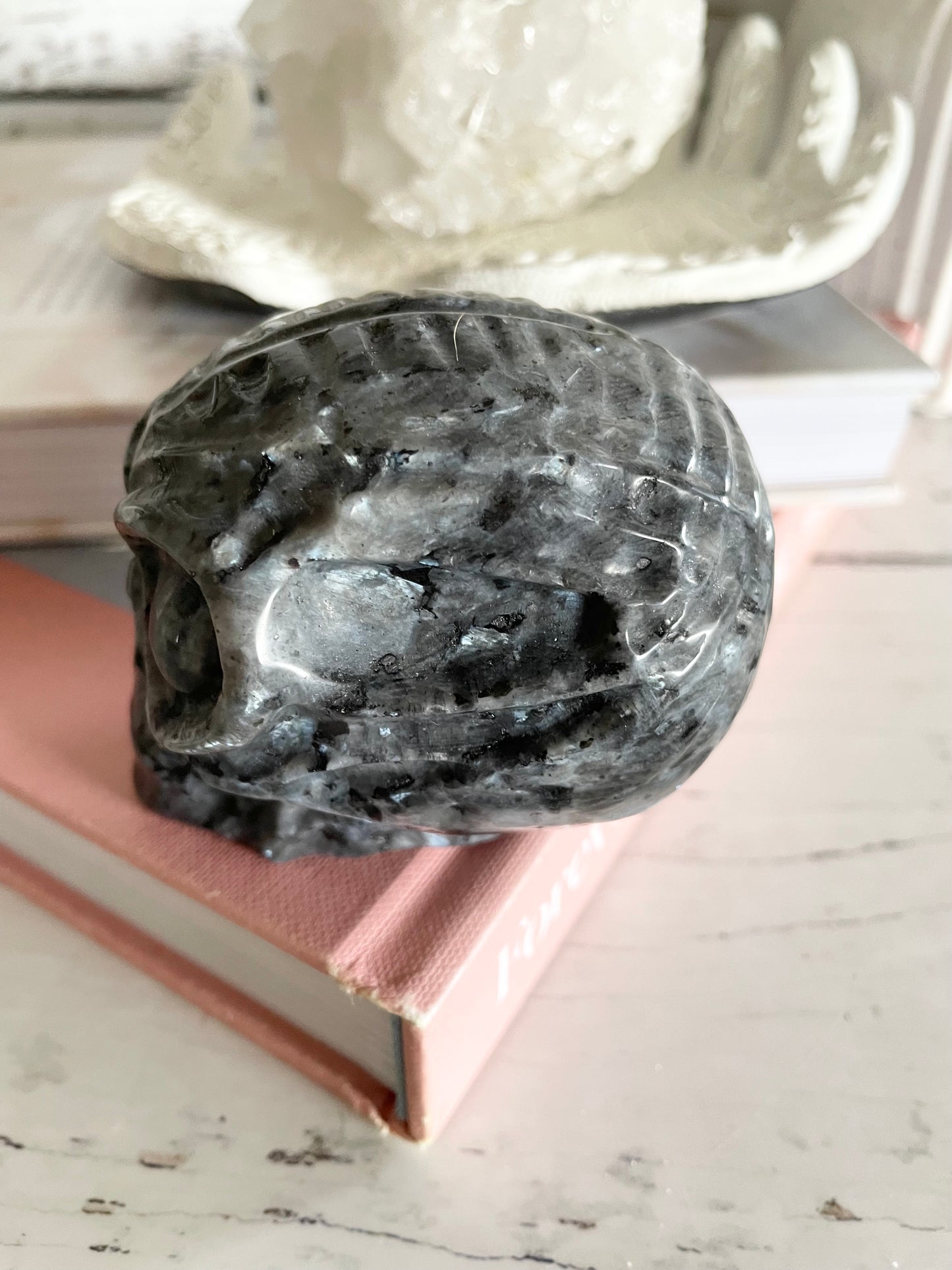 Larvakite Alien Skull