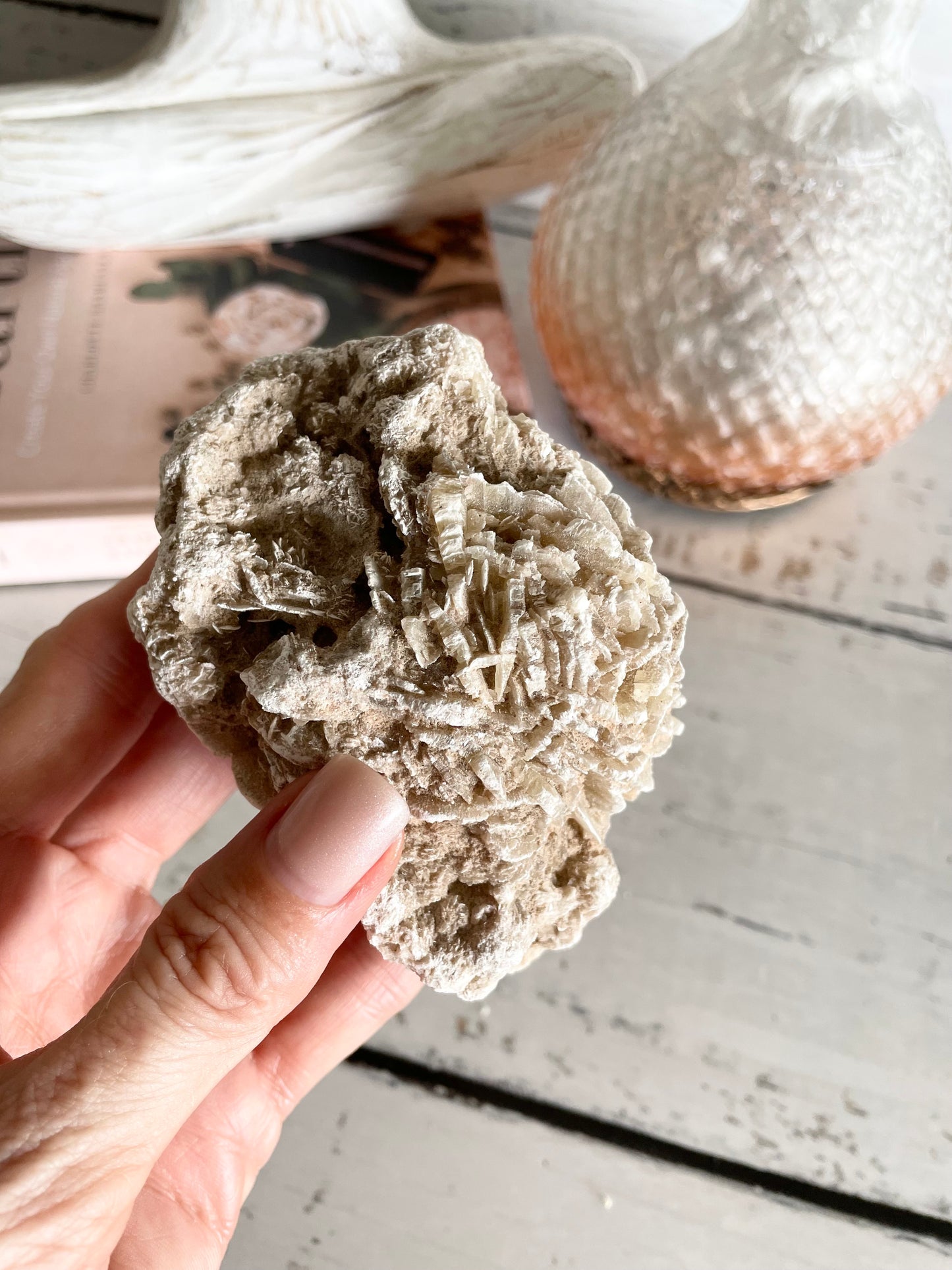Desert Rose