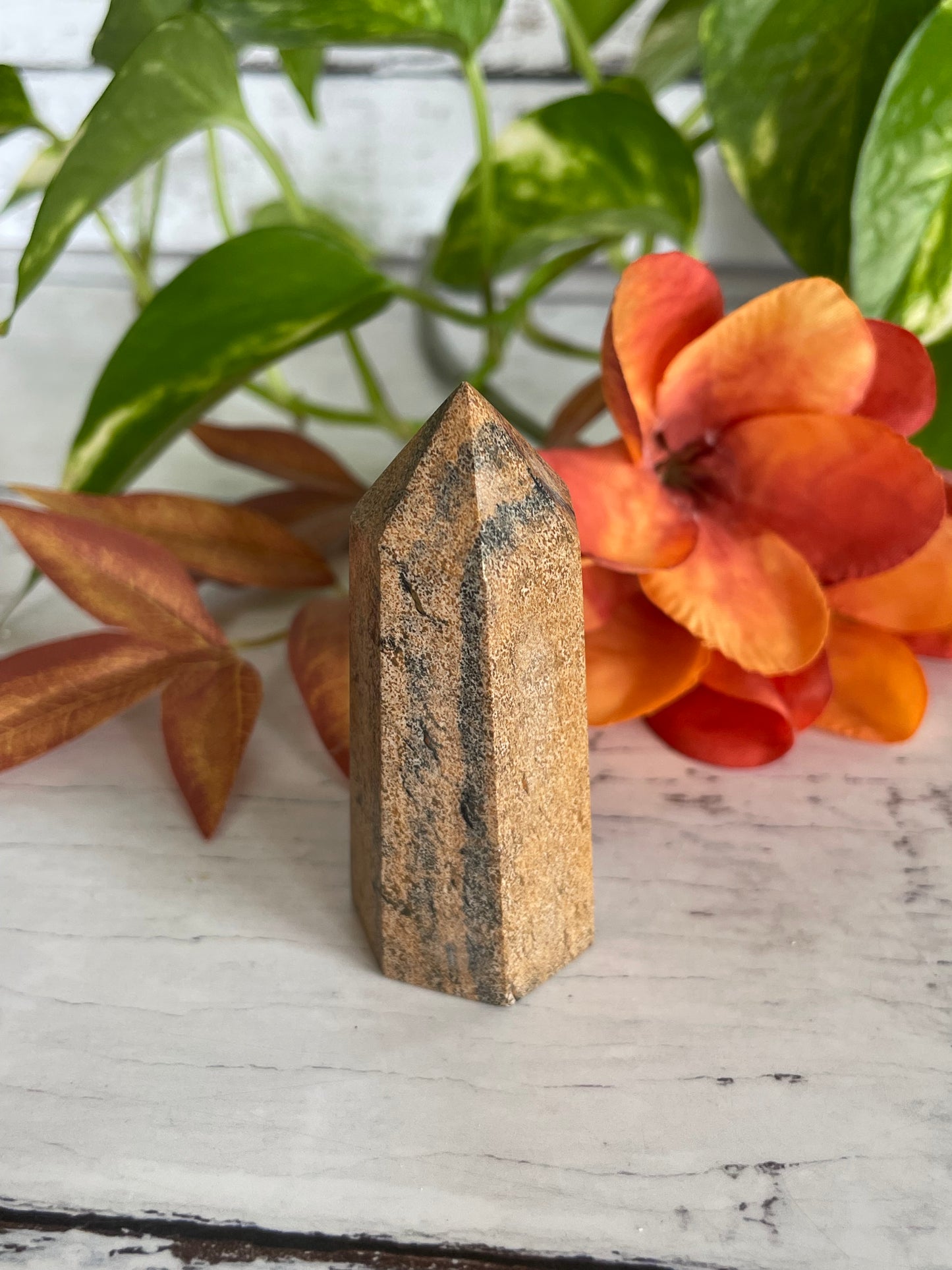 Picture Jasper Generator