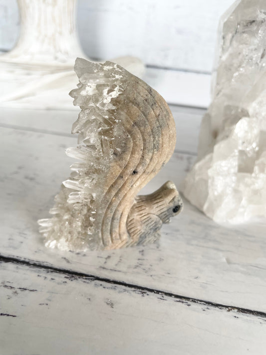 Quartz Squirrel 12