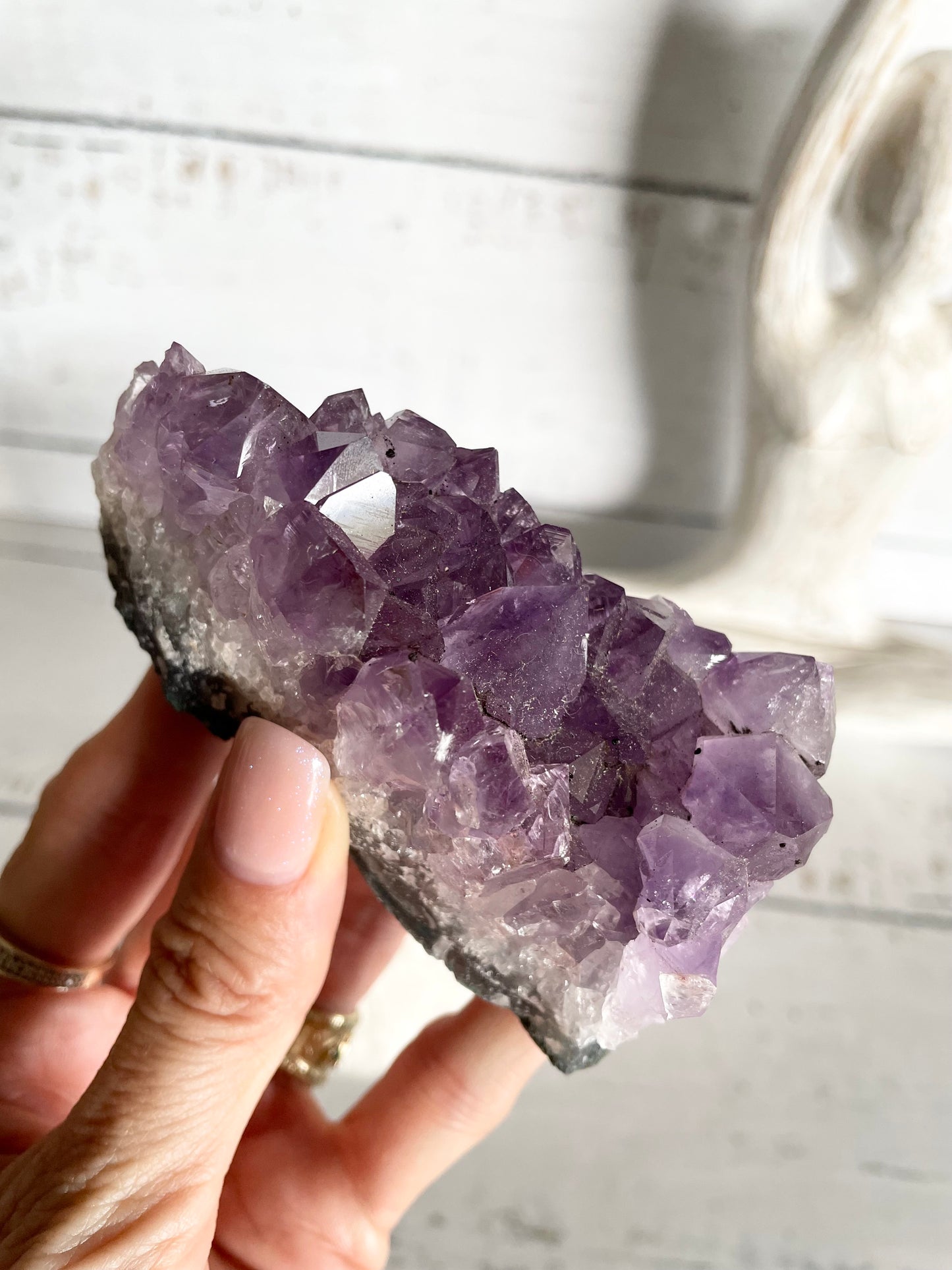 Amethyst Cluster