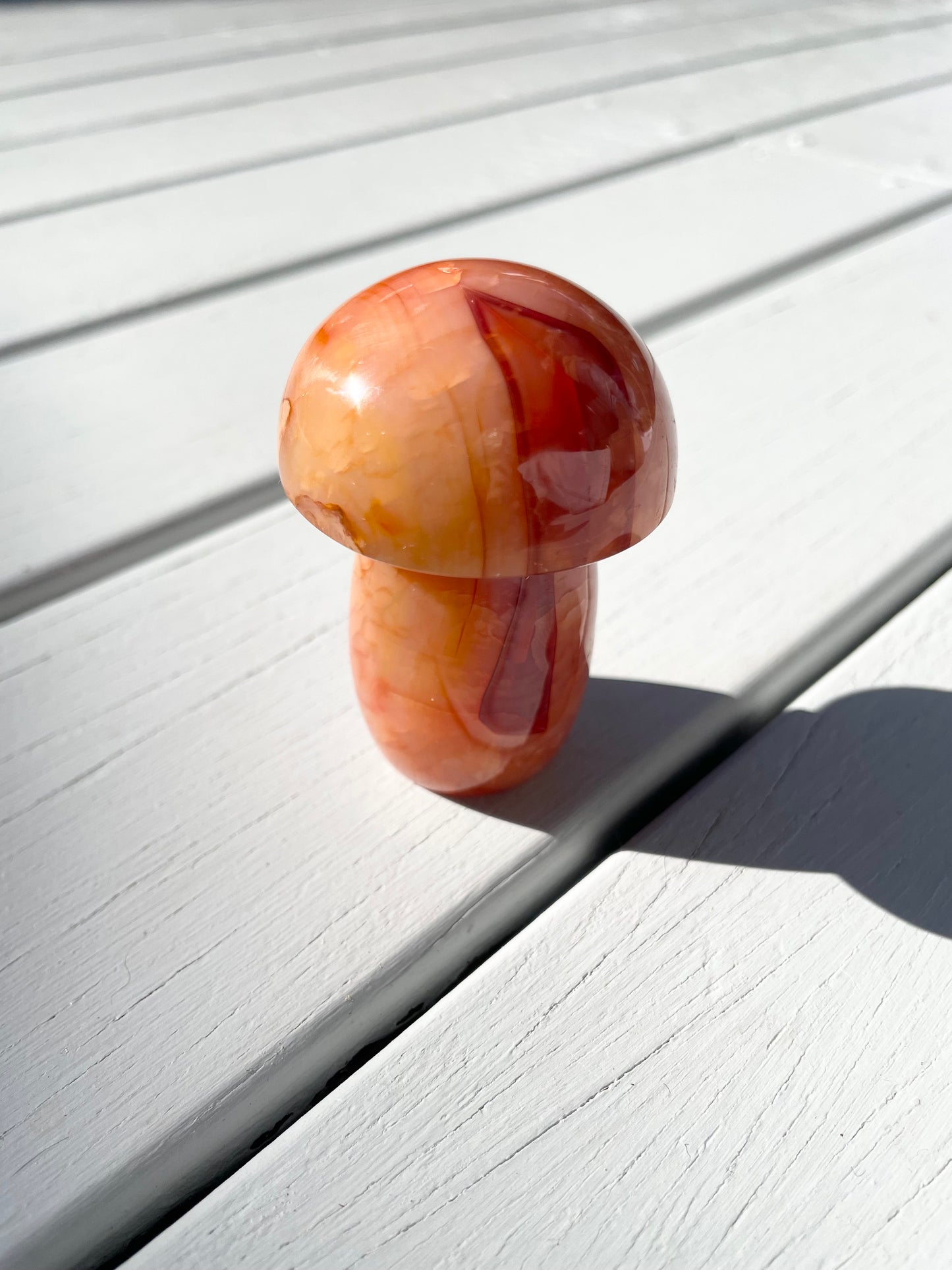 Carnelian Mushroom