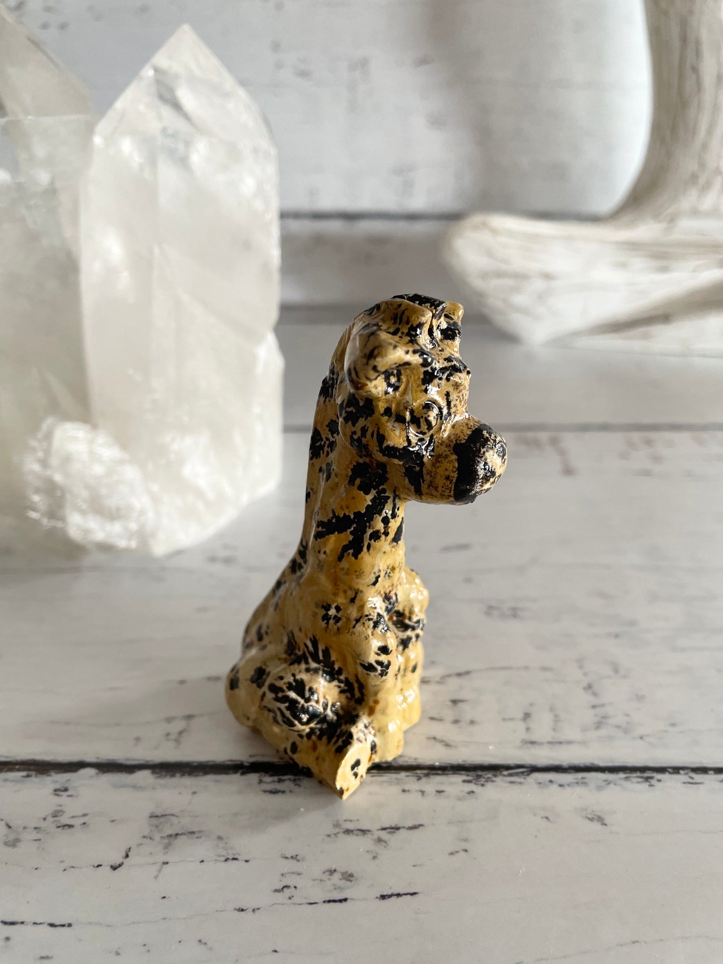 Picture Jasper Giraffe ~ 5