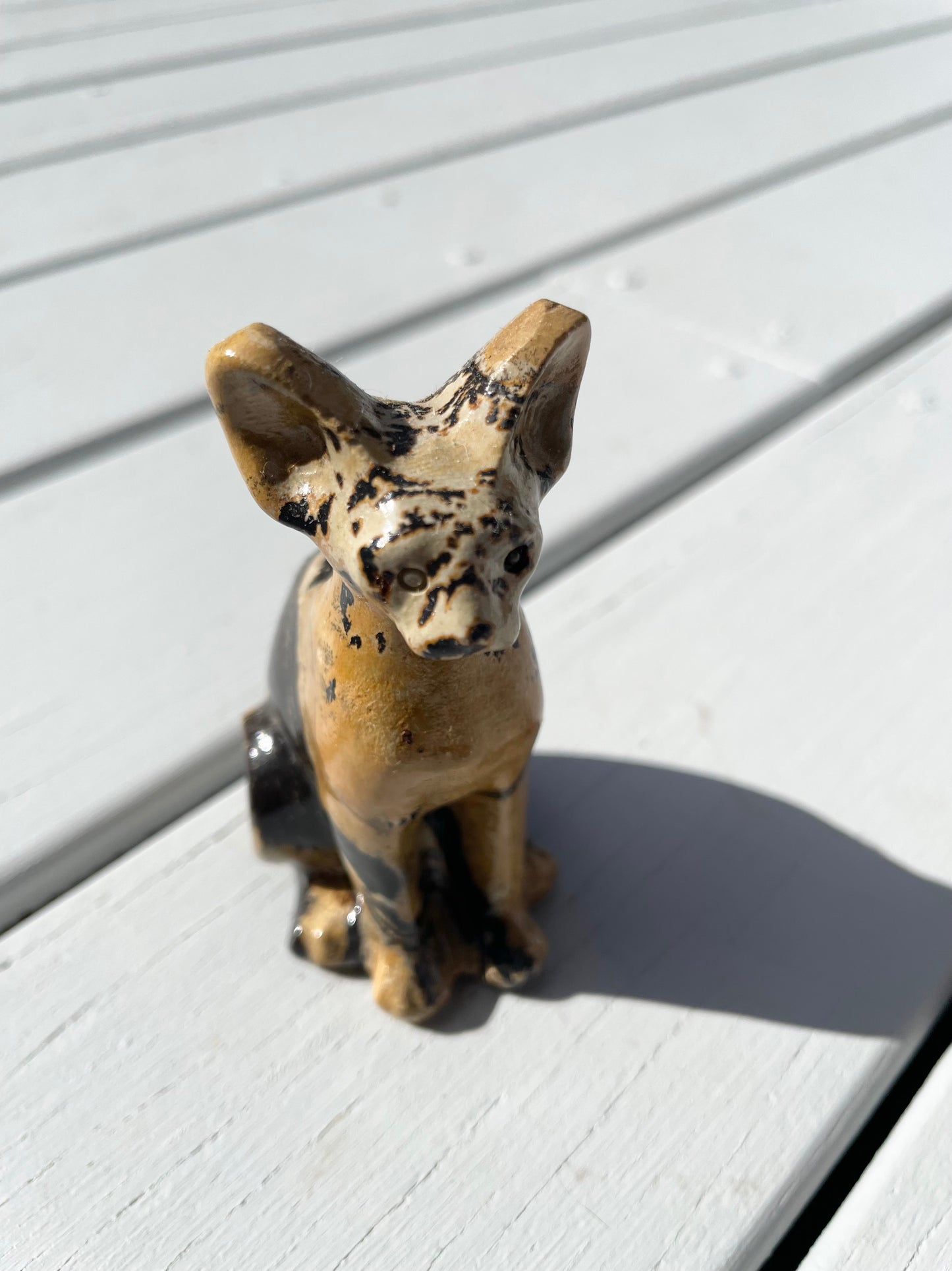 Picture Jasper Cat