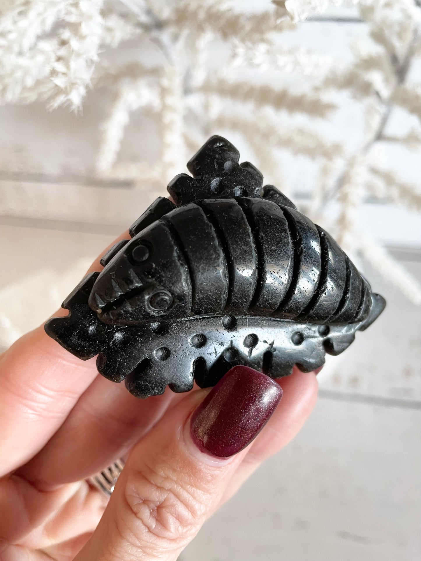 Black Obsidian Isopod
