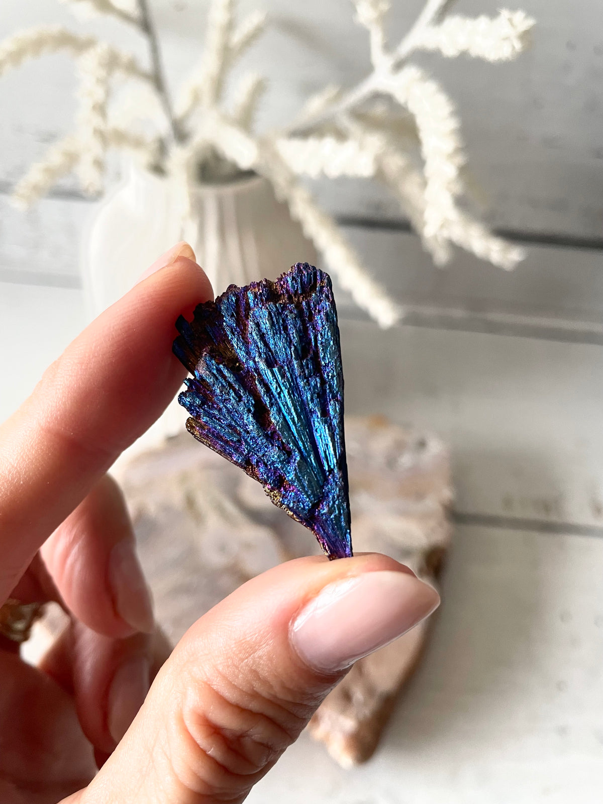Black Kyanite Titanium Witch Fan/Broom
