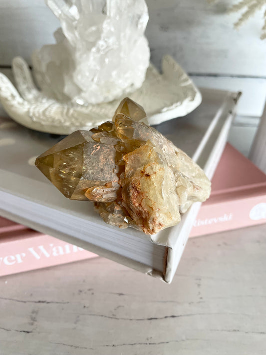 Natural Pineapple Citrine Cluster Point