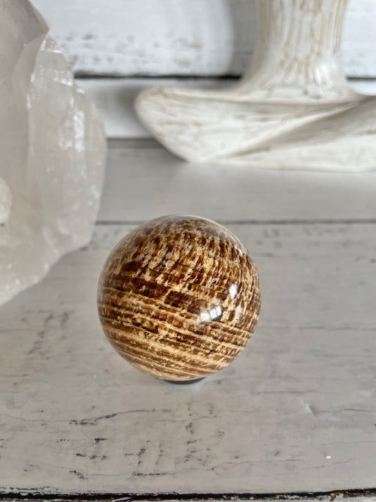 Aragonite Sphere Includes Wooden Holder