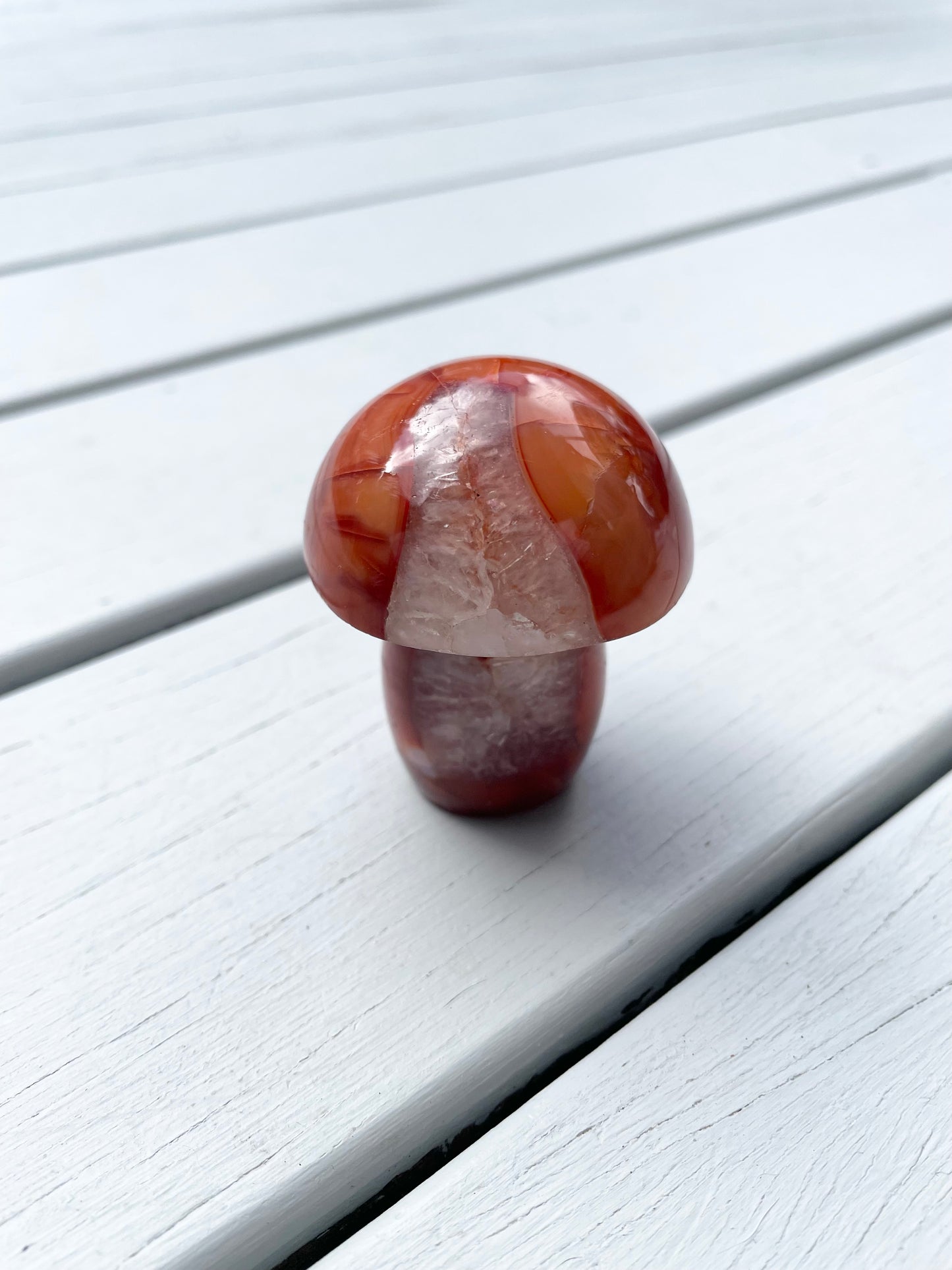 Carnelian Mushroom
