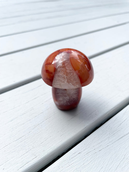 Carnelian Mushroom