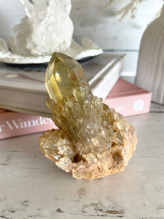 Natural Pineapple Citrine Cluster Point