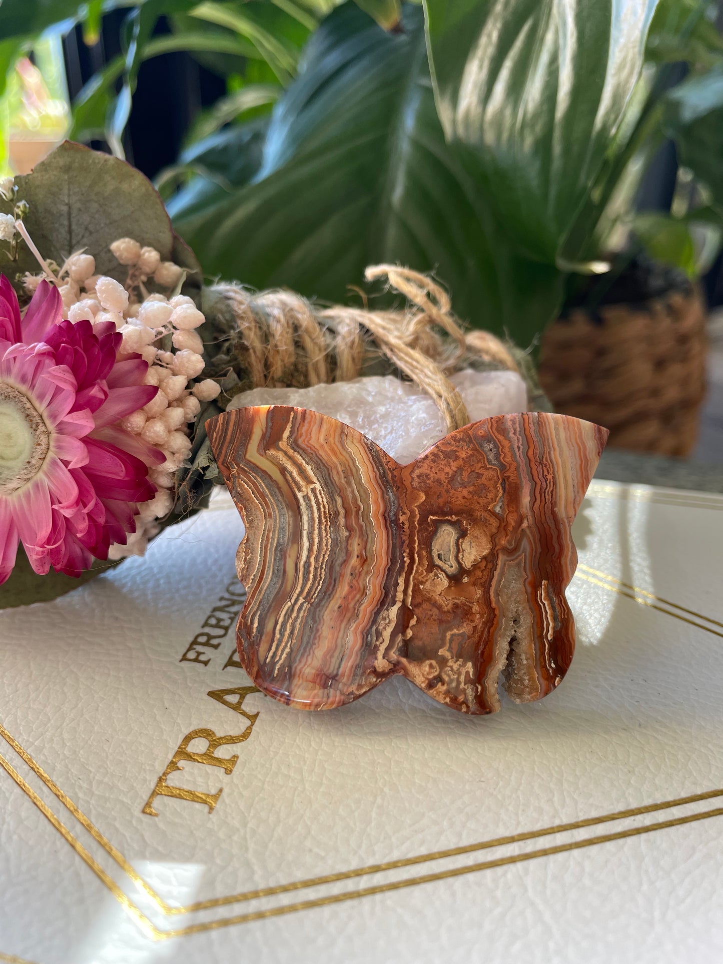 Butterfly ~ Pink Crazy Lace Agate