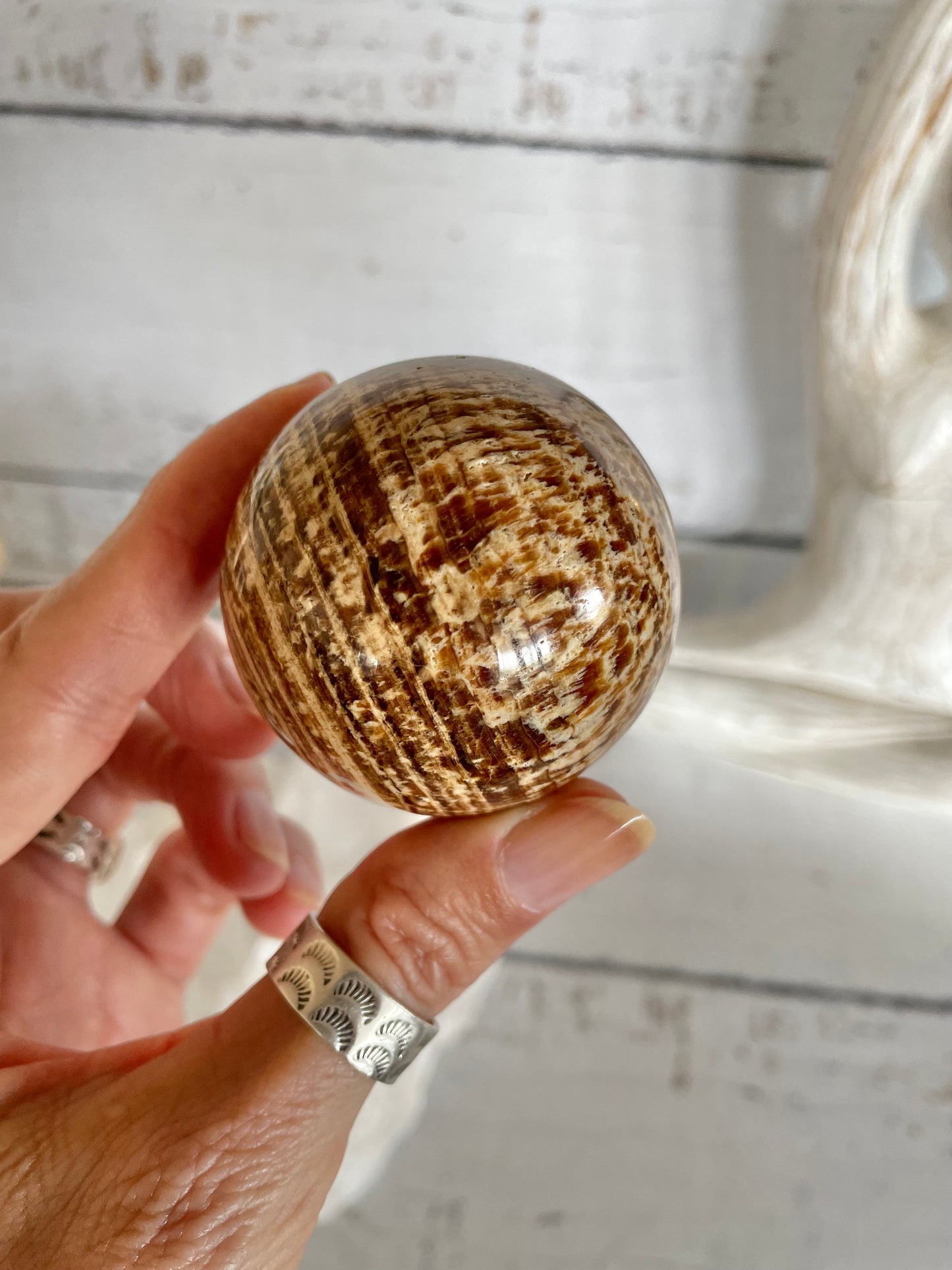 Aragonite Sphere Includes Wooden Holder