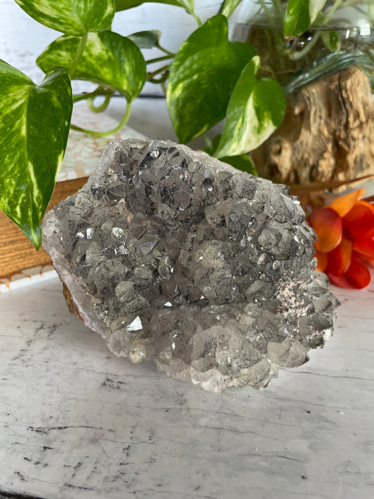 Black Amethyst Standing Cluster ~ 1.5kgs