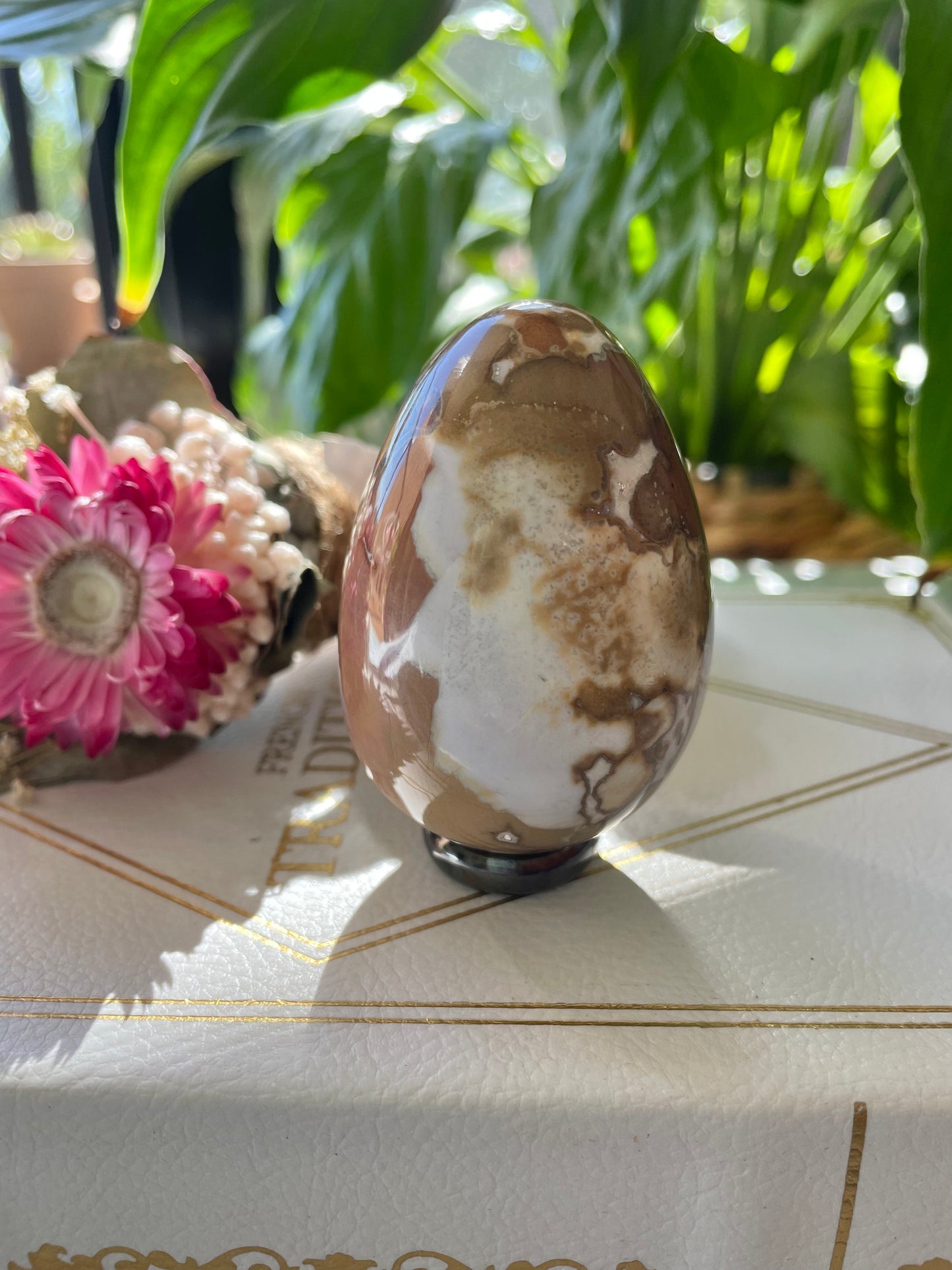 Spotted Agate Egg Includes Hematite Ring