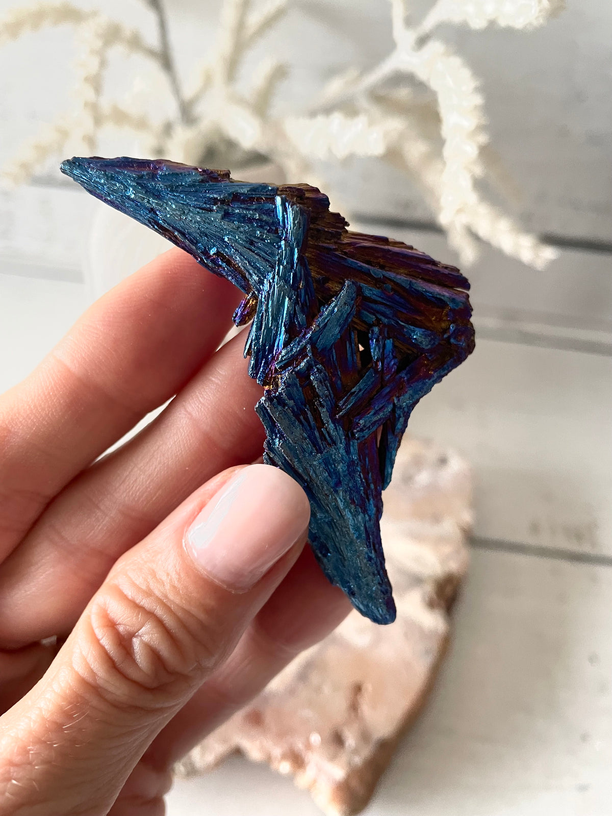 Black Kyanite Titanium Witch Fan/Broom