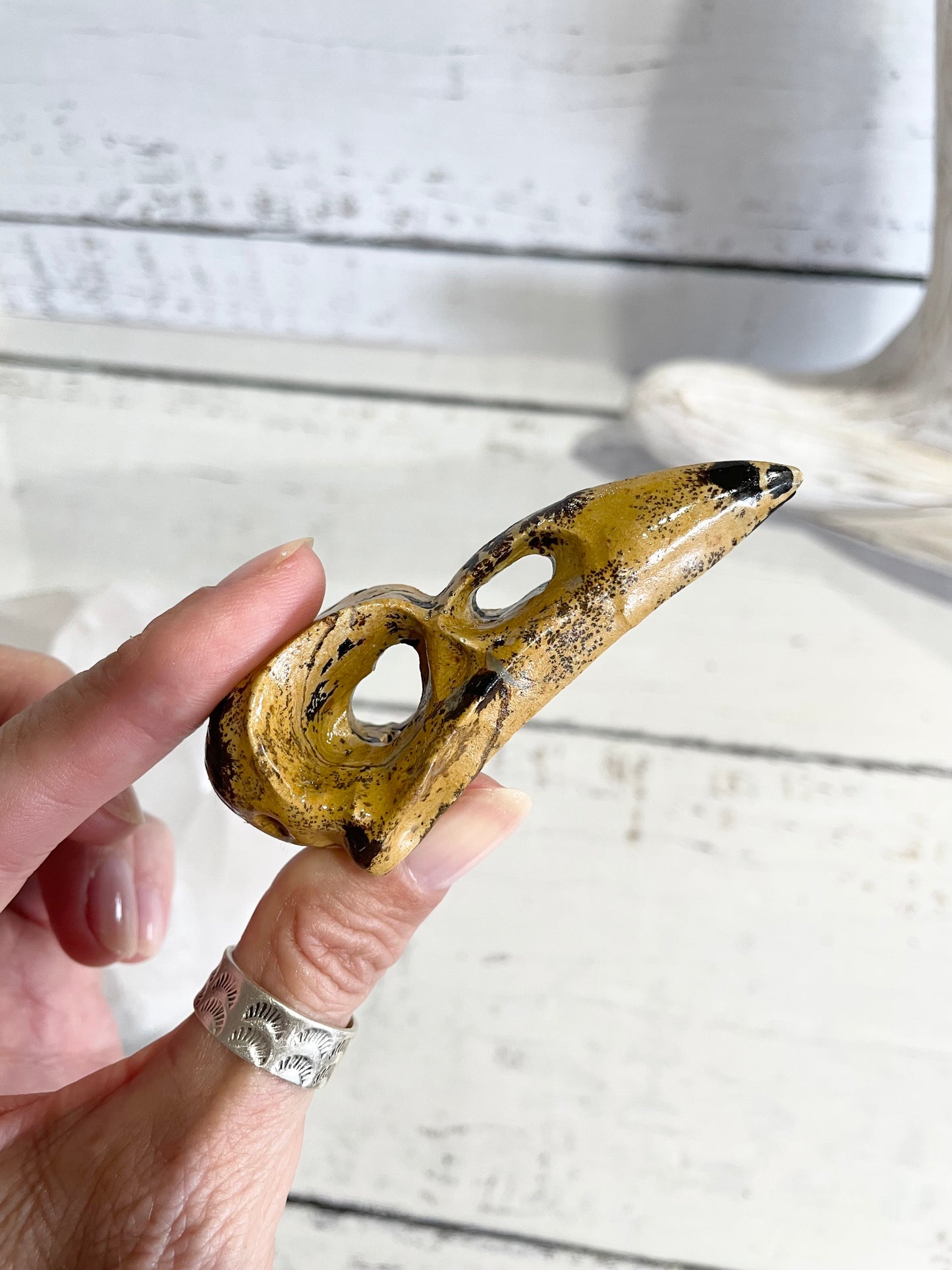 Picture Jasper Raven Skull ~ 10