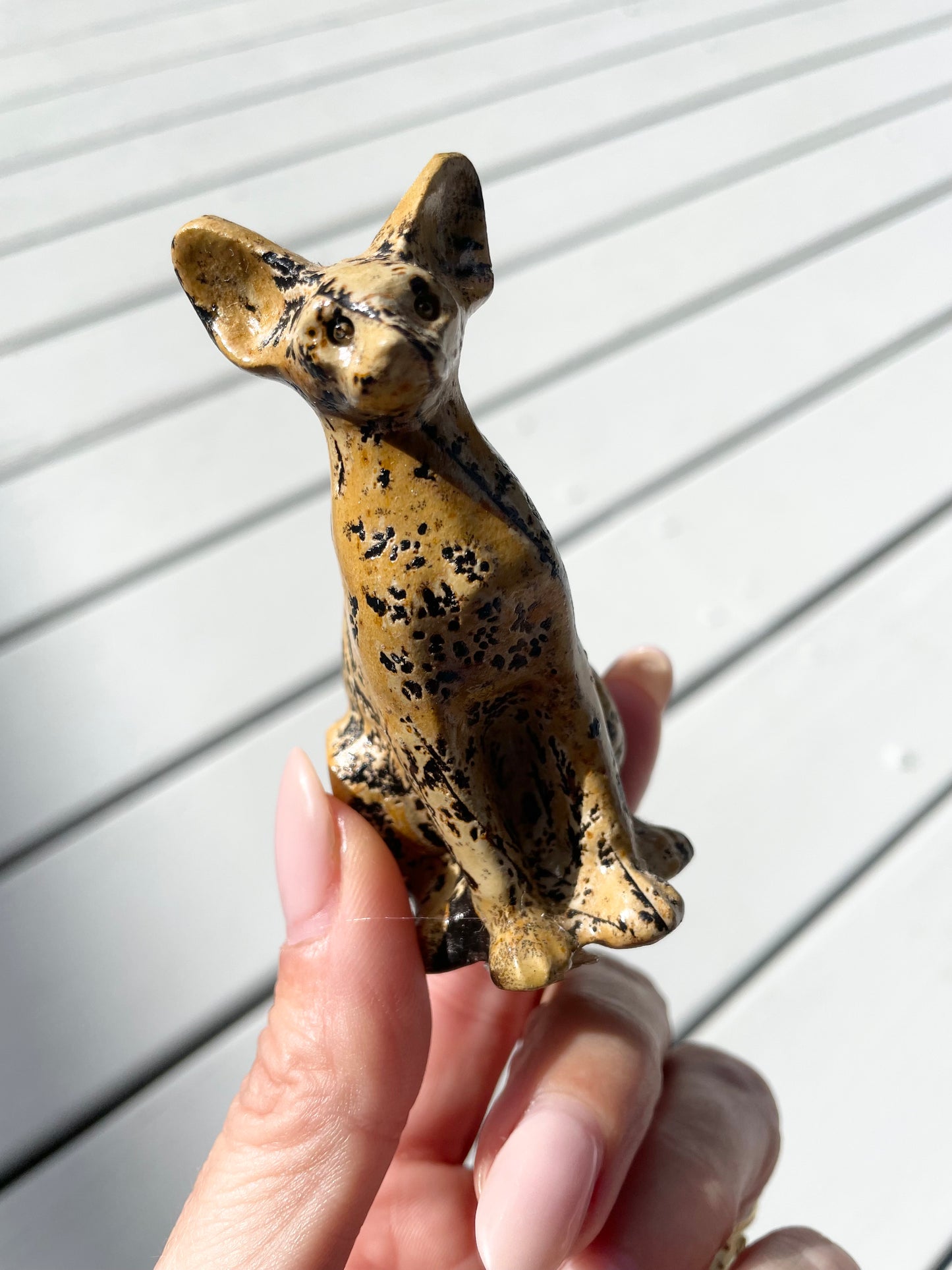 Picture Jasper Cat