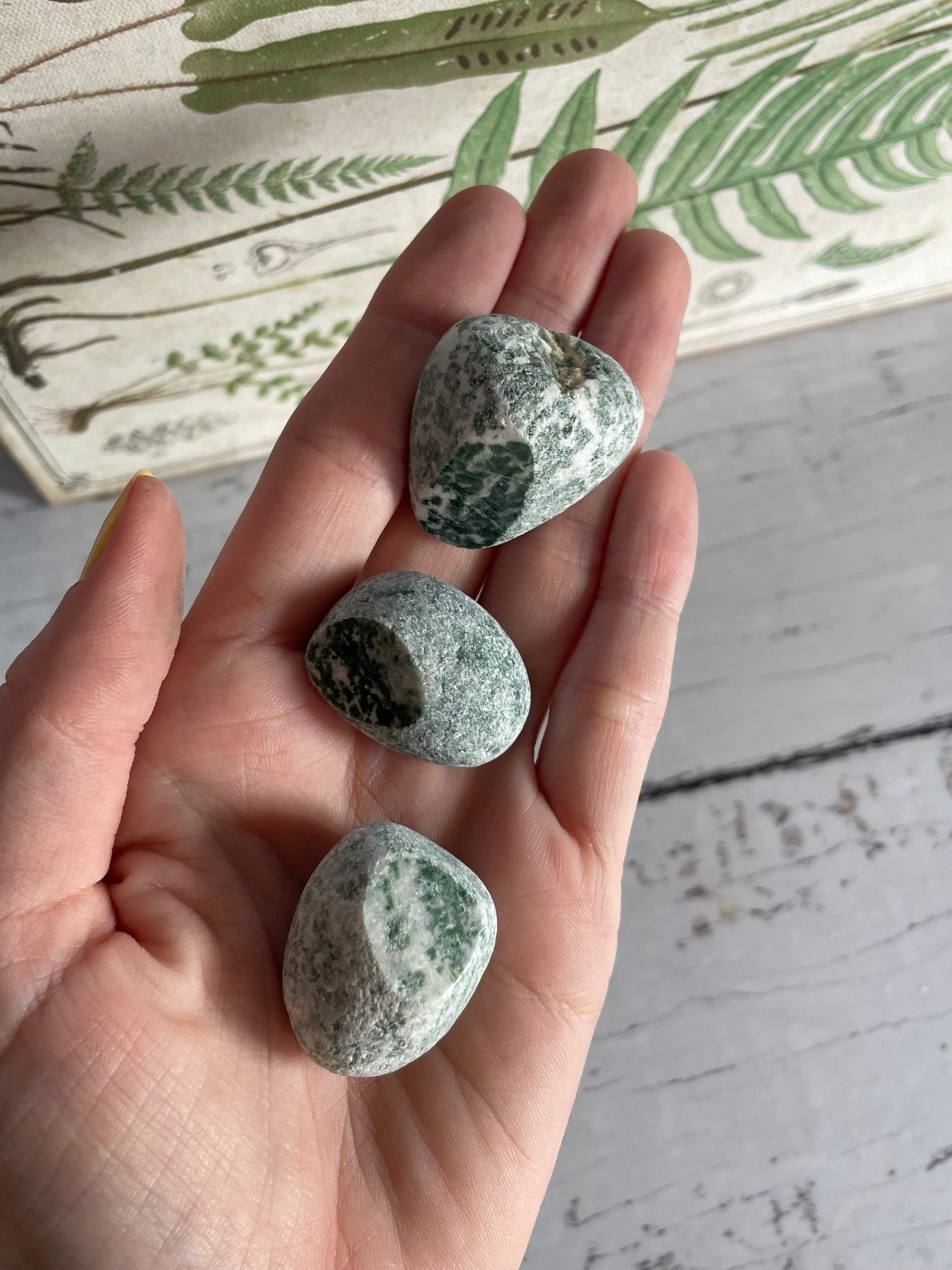 Seer Stone /Ema Egg ~ Tree Agate