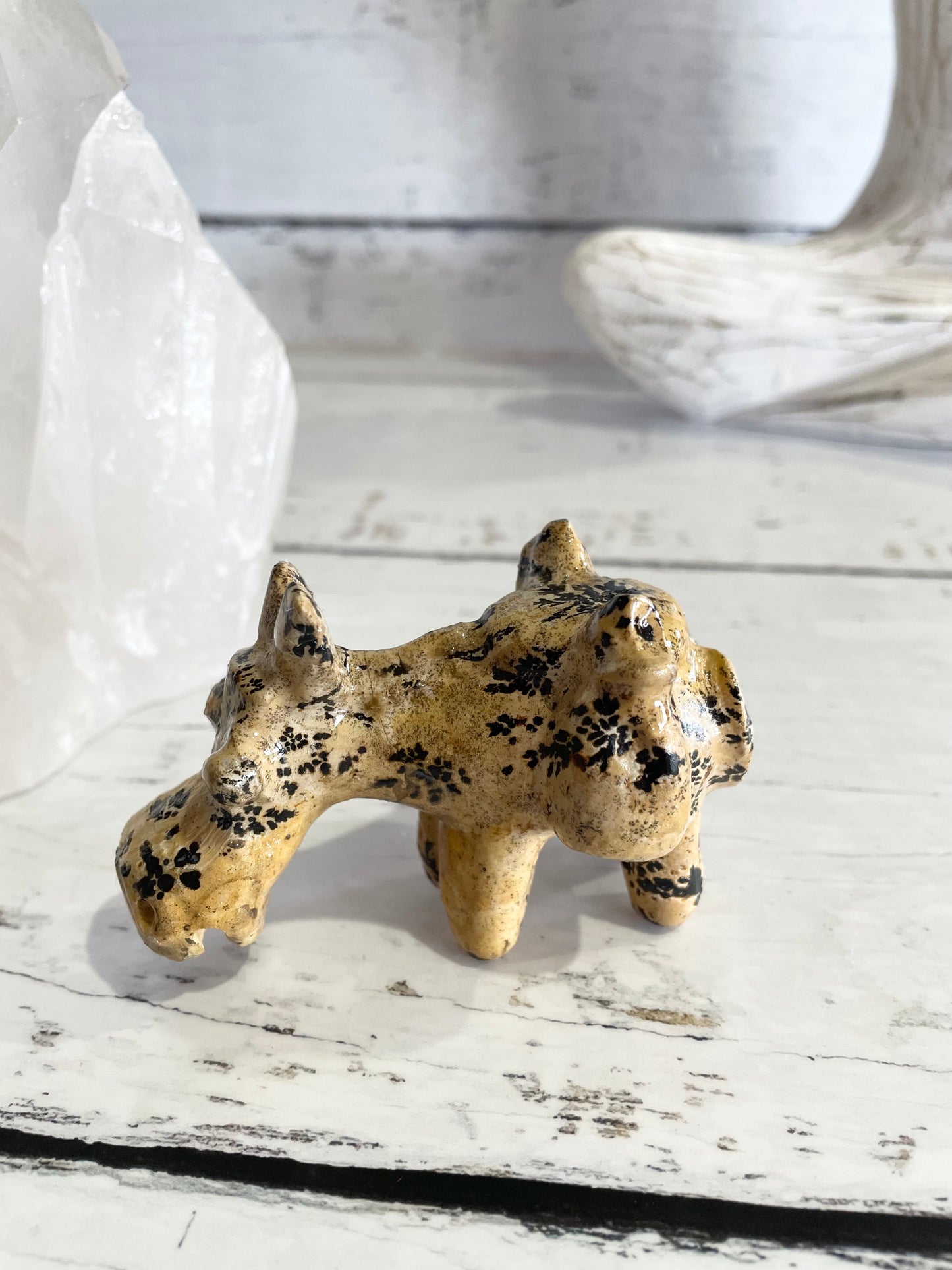 Picture Jasper Donkey ~ 11