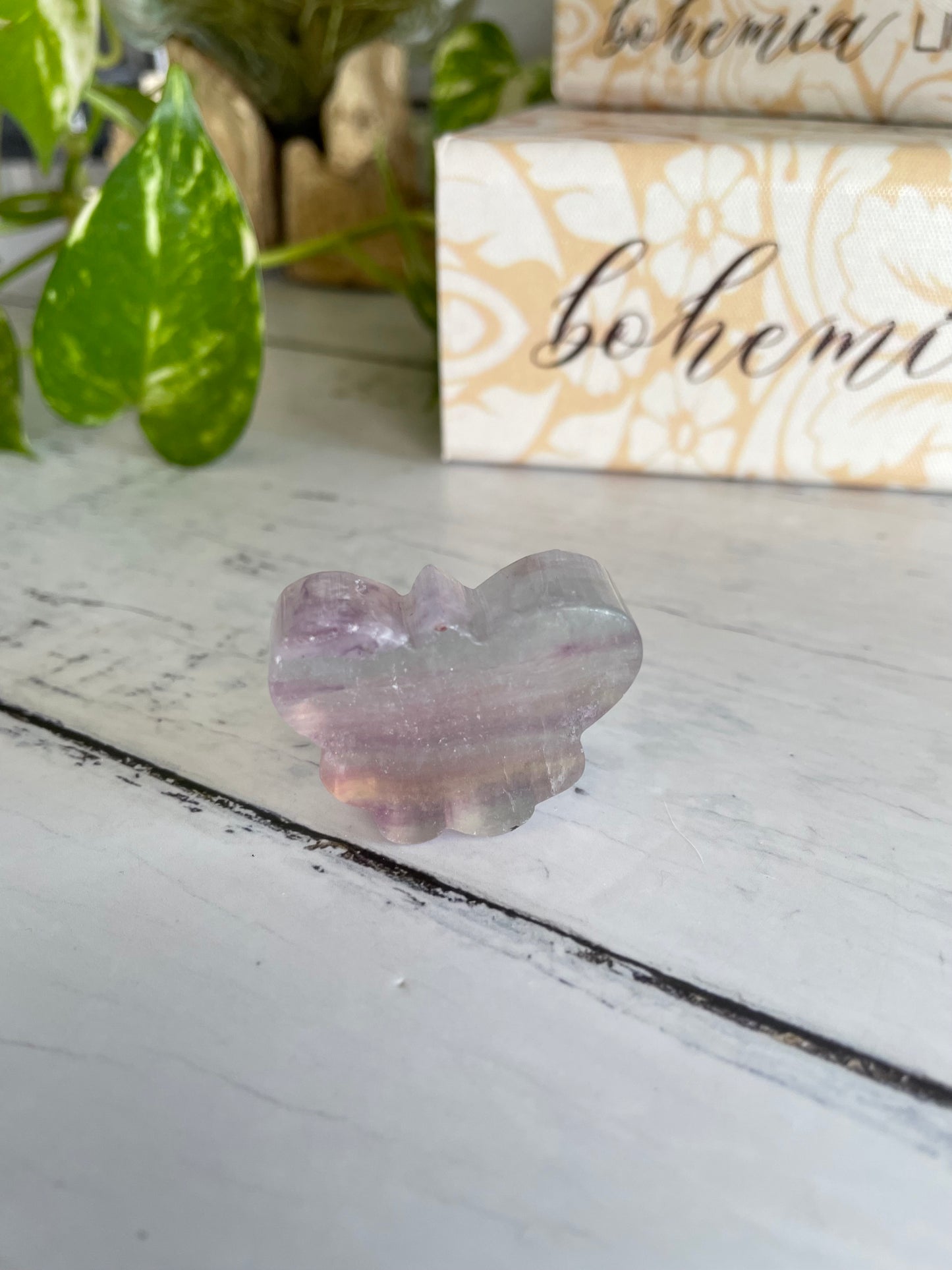 Butterfly ~ Rainbow Fluorite